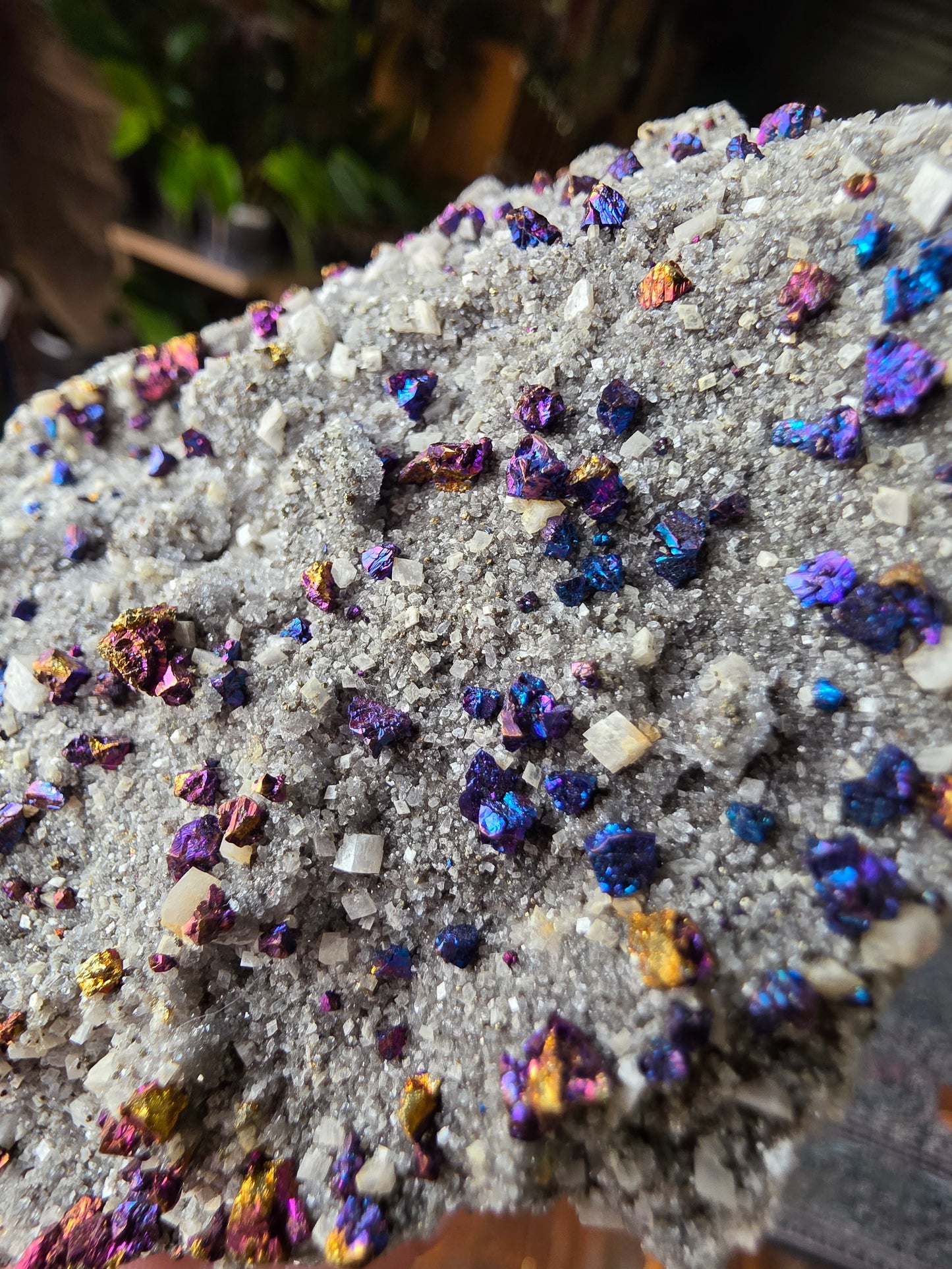 Chalcopyrite on Druzy Quartz