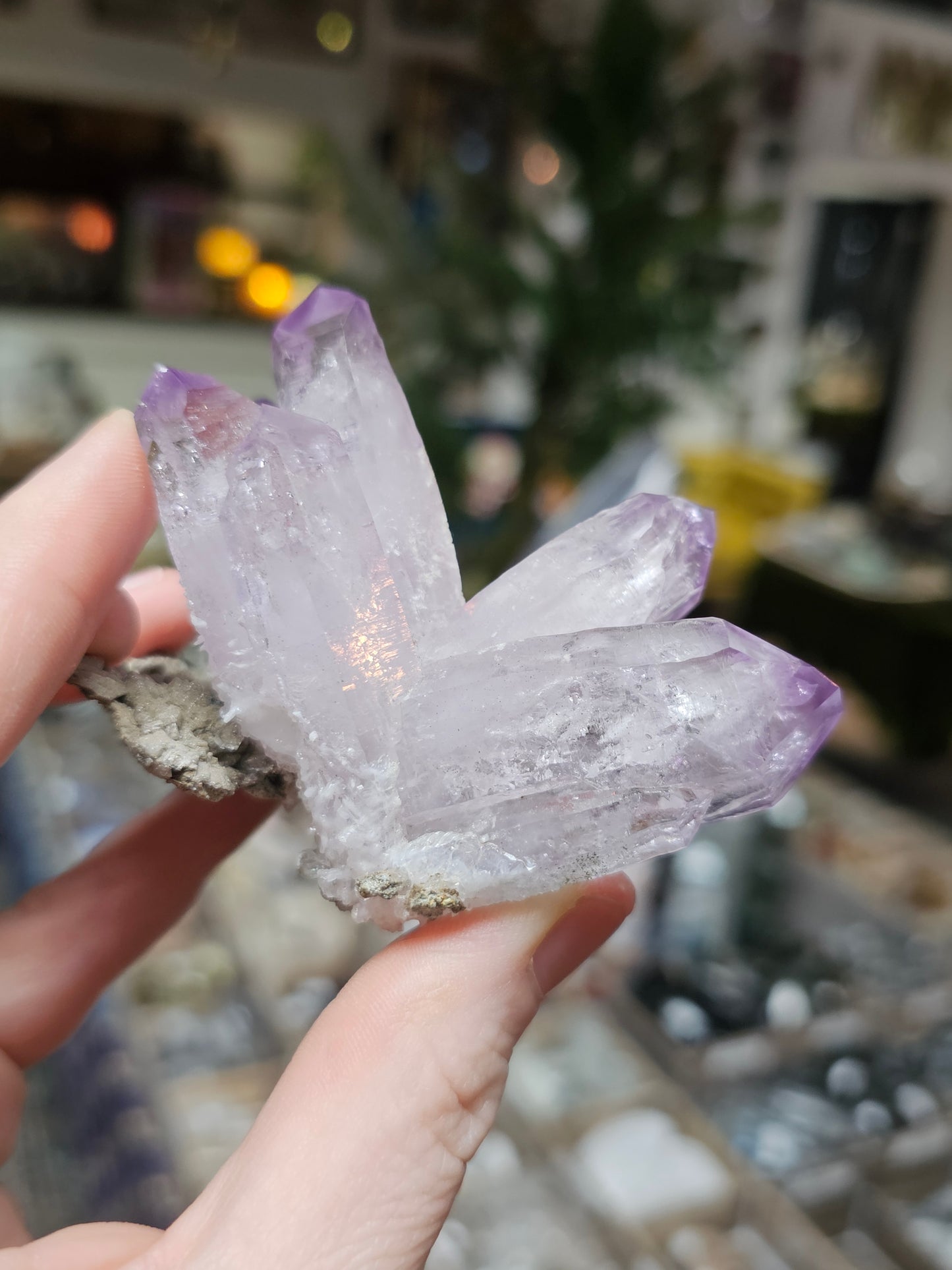 Vera Cruz Amethyst on Dolomite