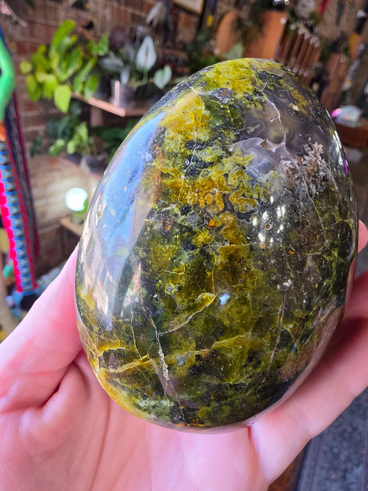 Common Green Opal Freeform