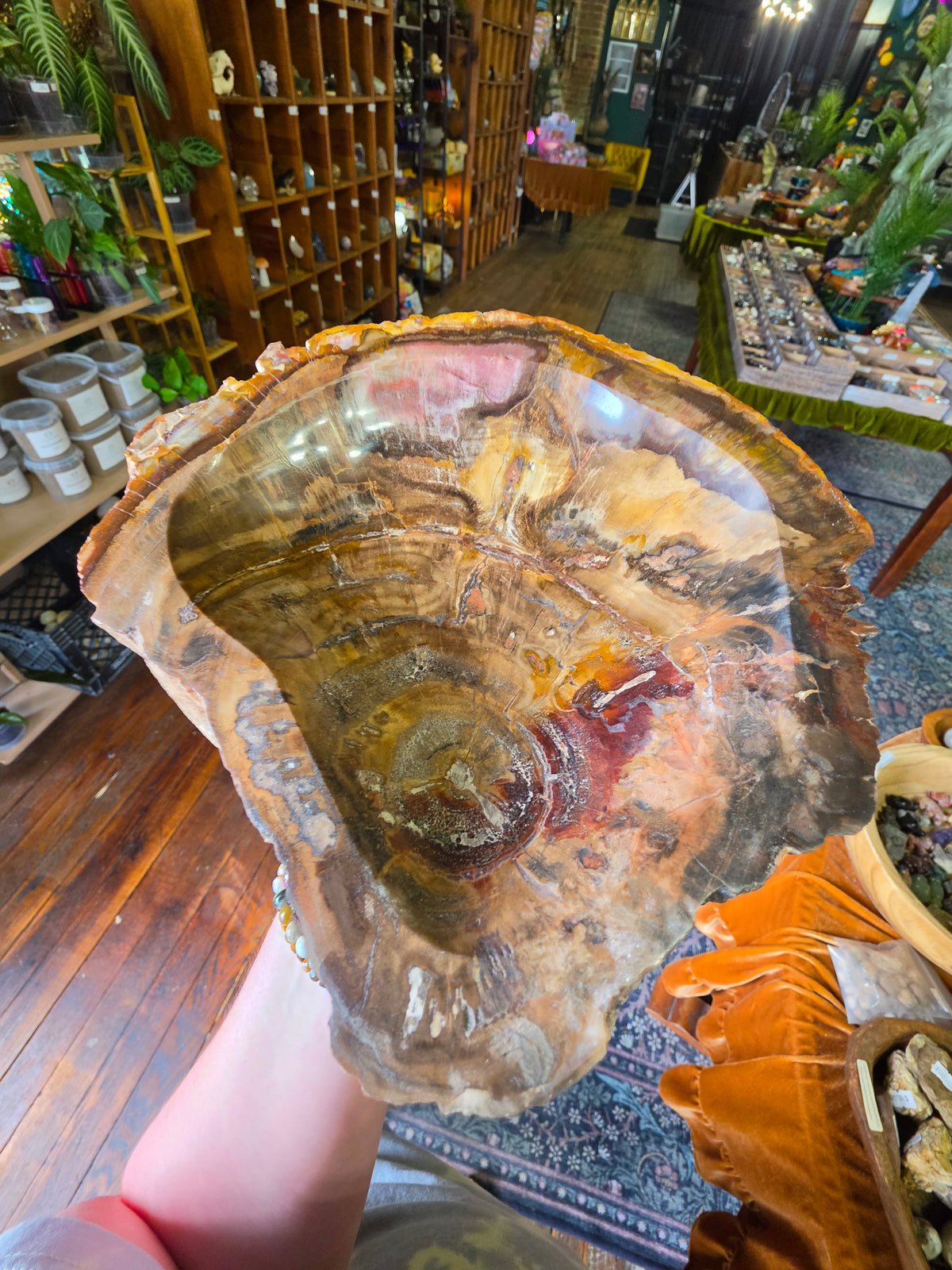 Petrified Wood Bowl