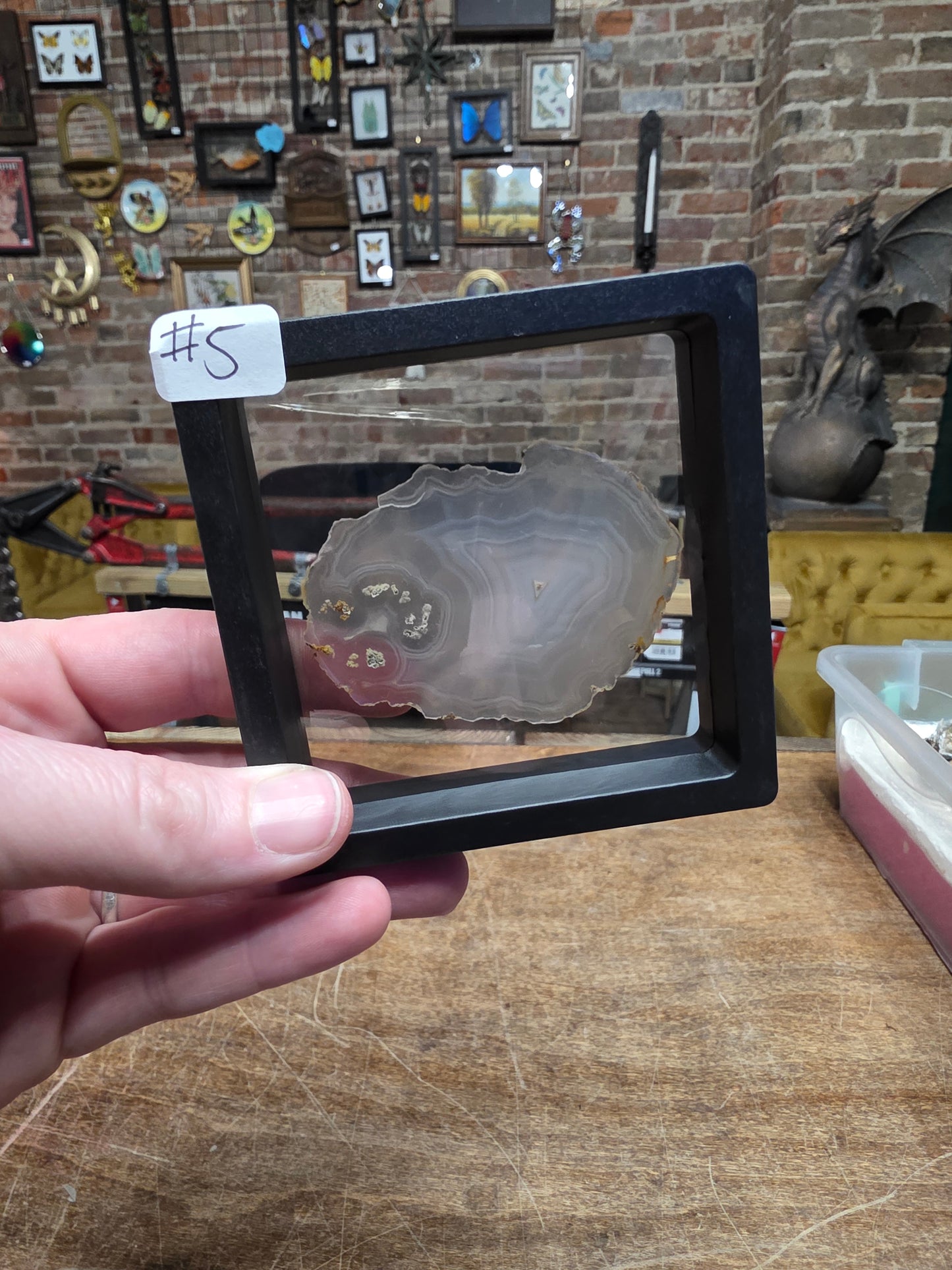 Iris Agate Slab #5