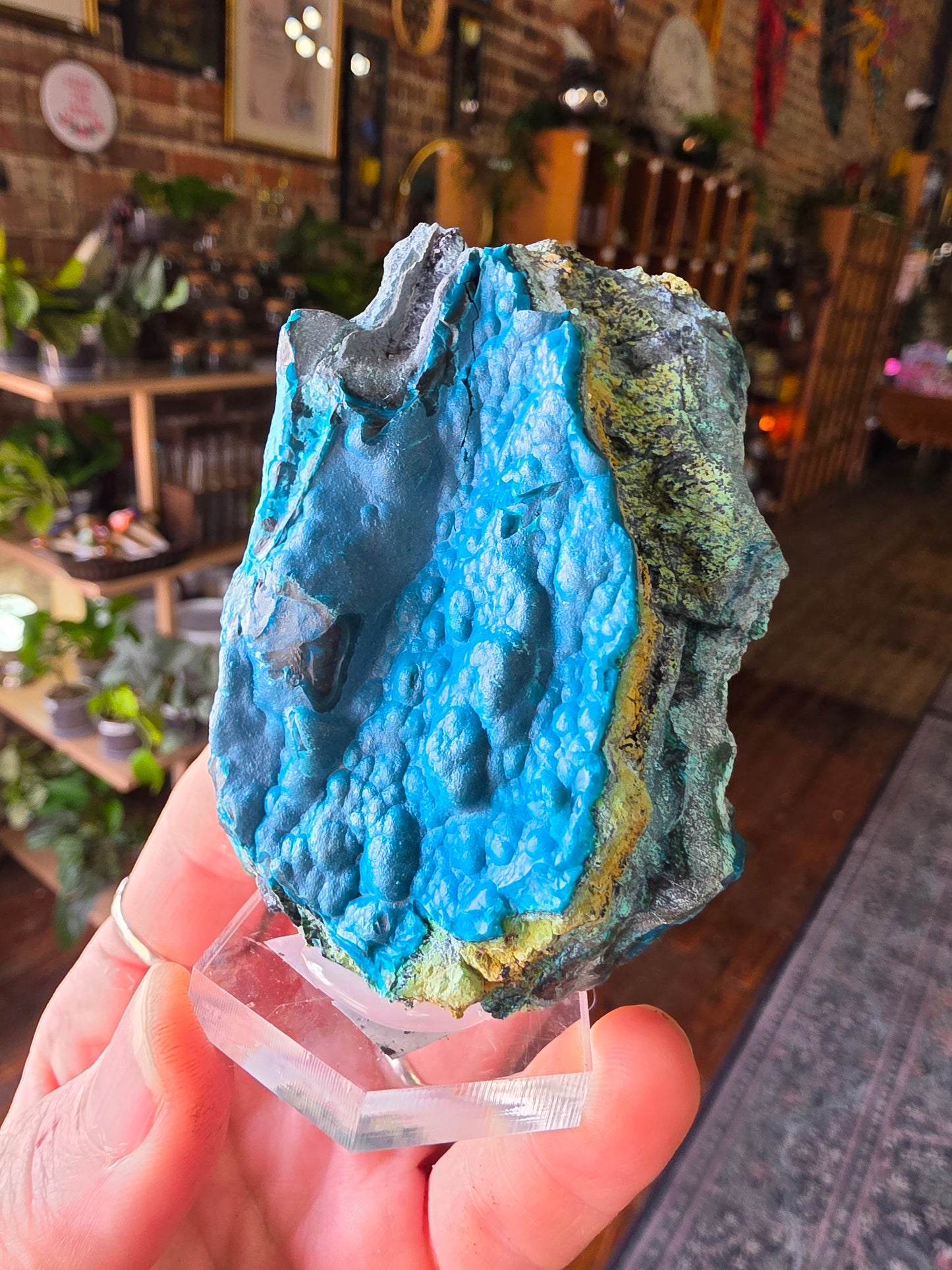Chrysocolla Specimen