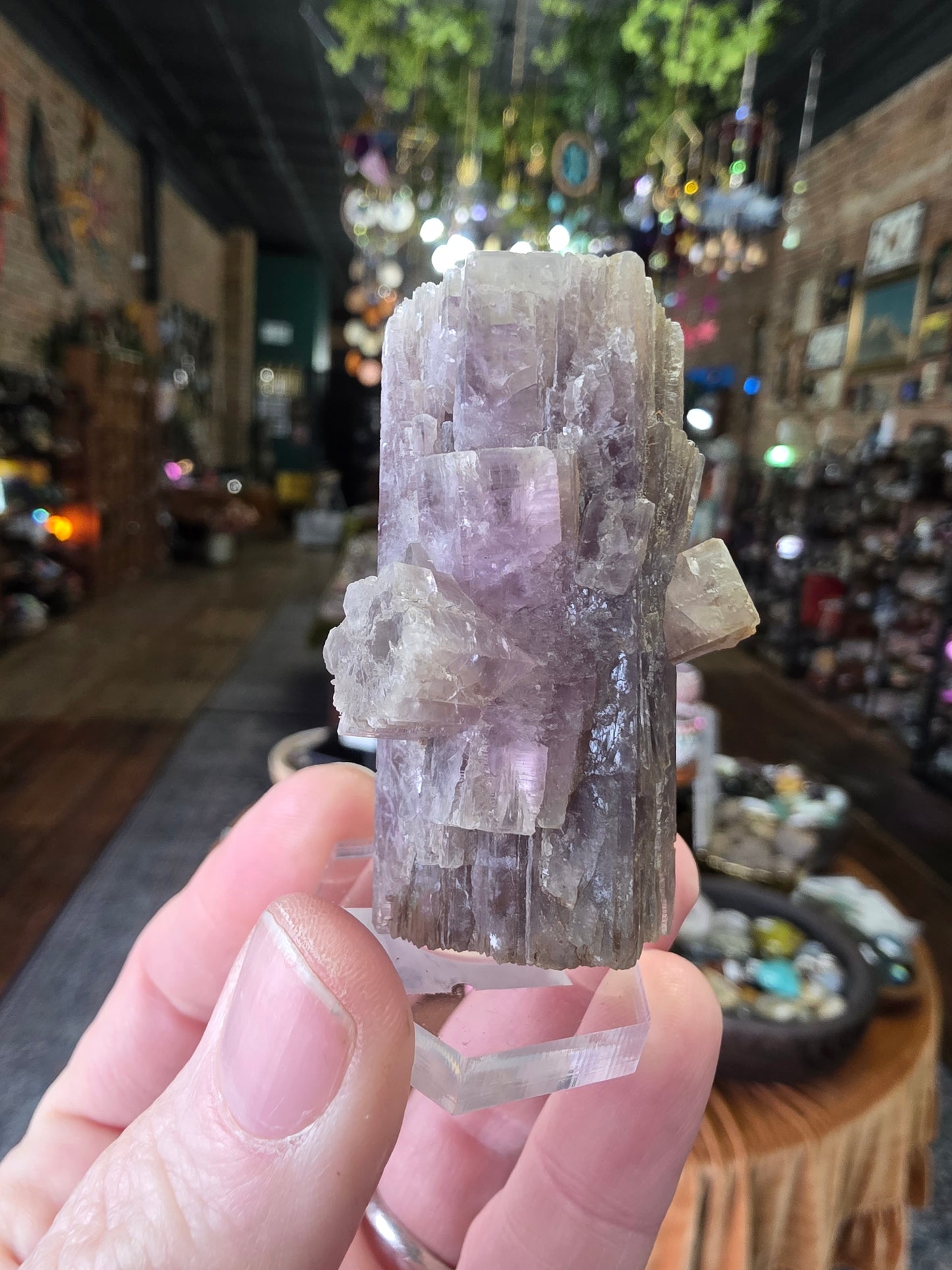 Purple Aragonite