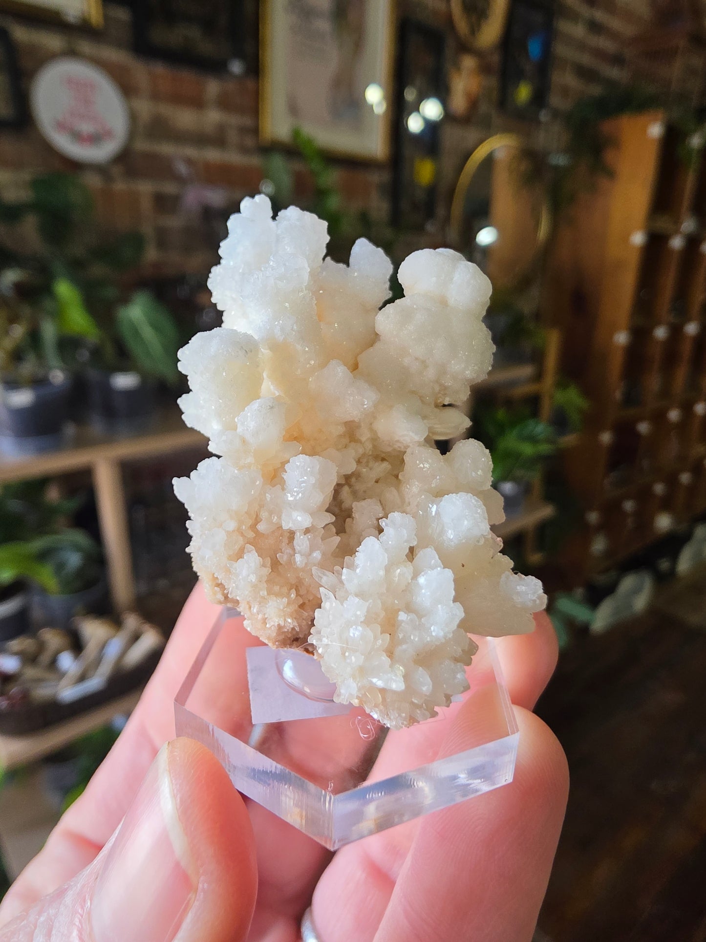 Cave Calcite Cluster
