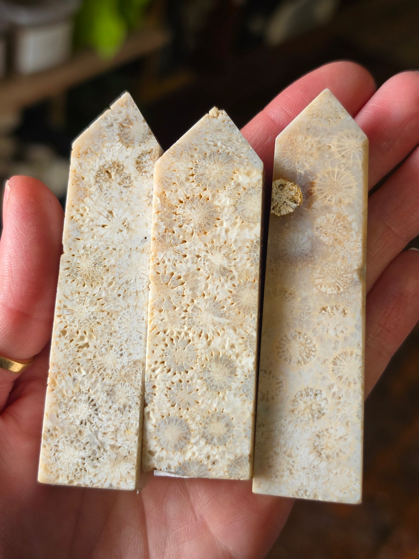 Coral Jade Point