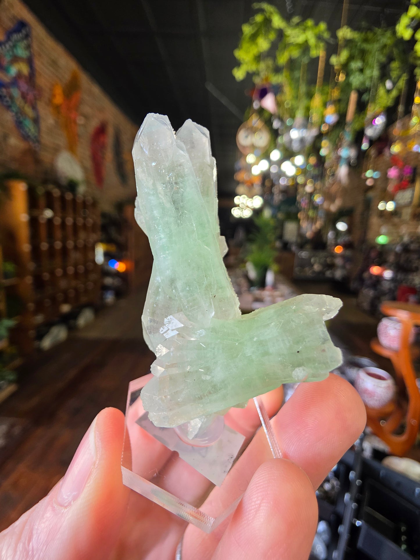Green Apophyllite