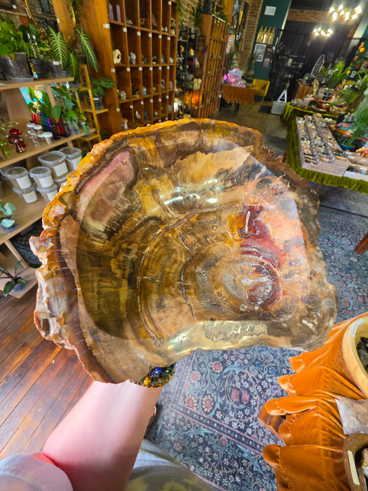 Petrified Wood Bowl