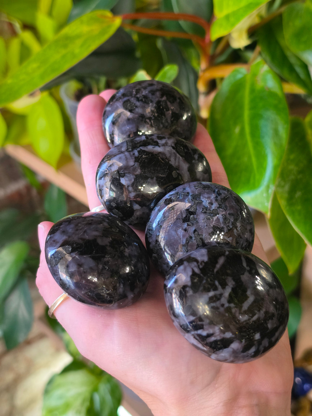 Indigo Gabro Palmstone