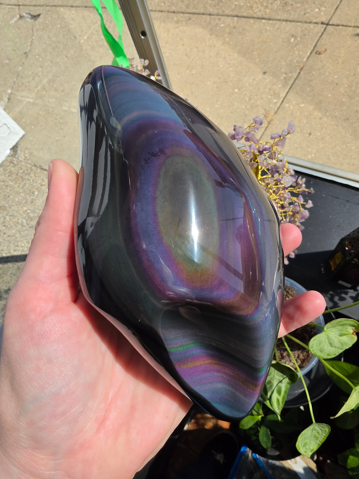 Rainbow Obsidian Freeform