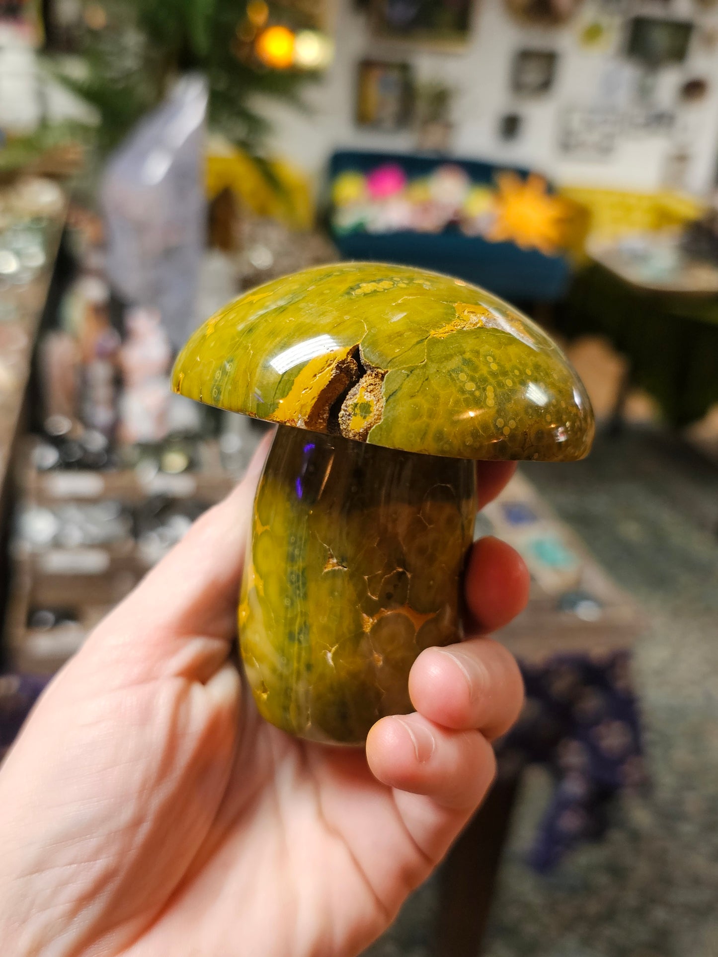 Kabamby Ocean Jasper Mushroom Carving