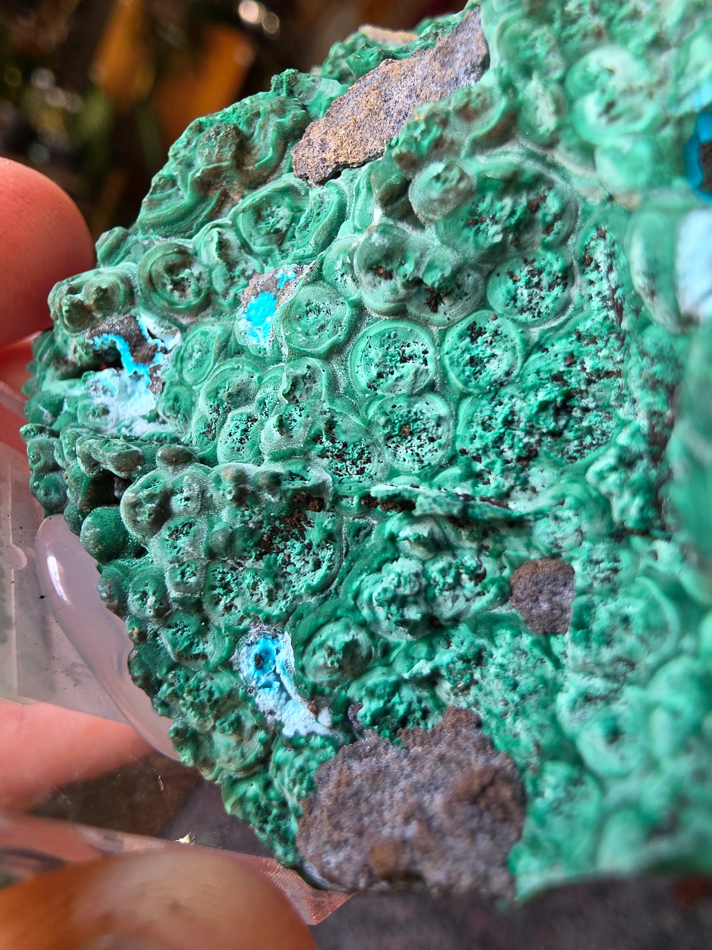 Chrysocolla and Malachite