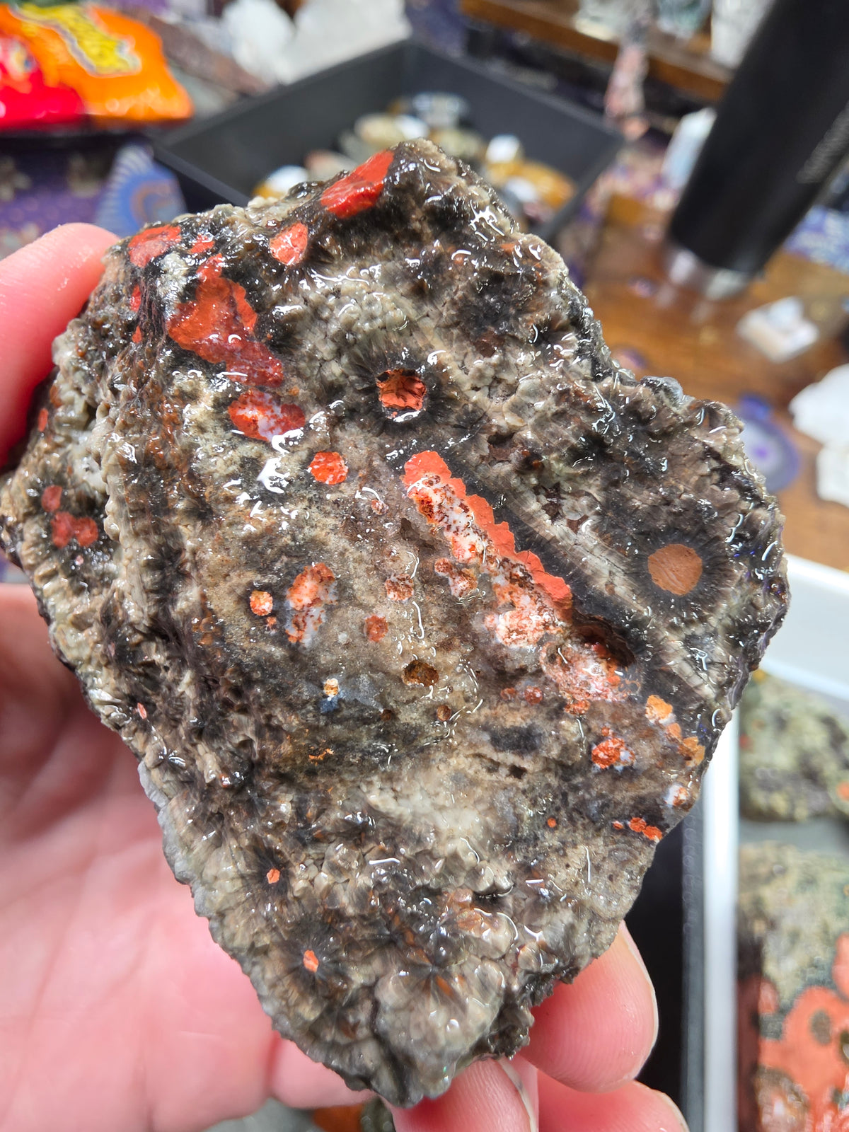 Orbicular Jasper Rough