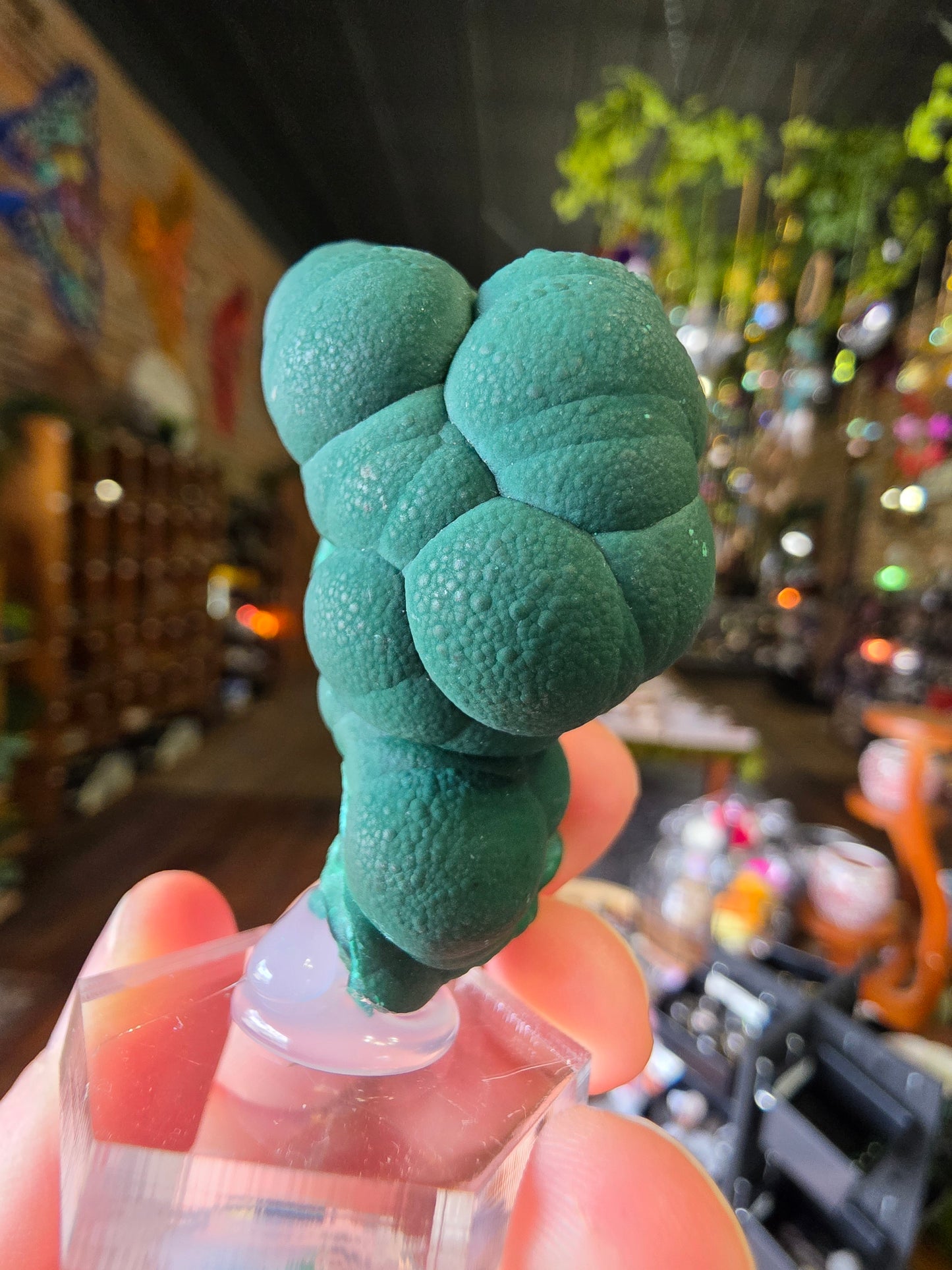 Botryoidal Malachite