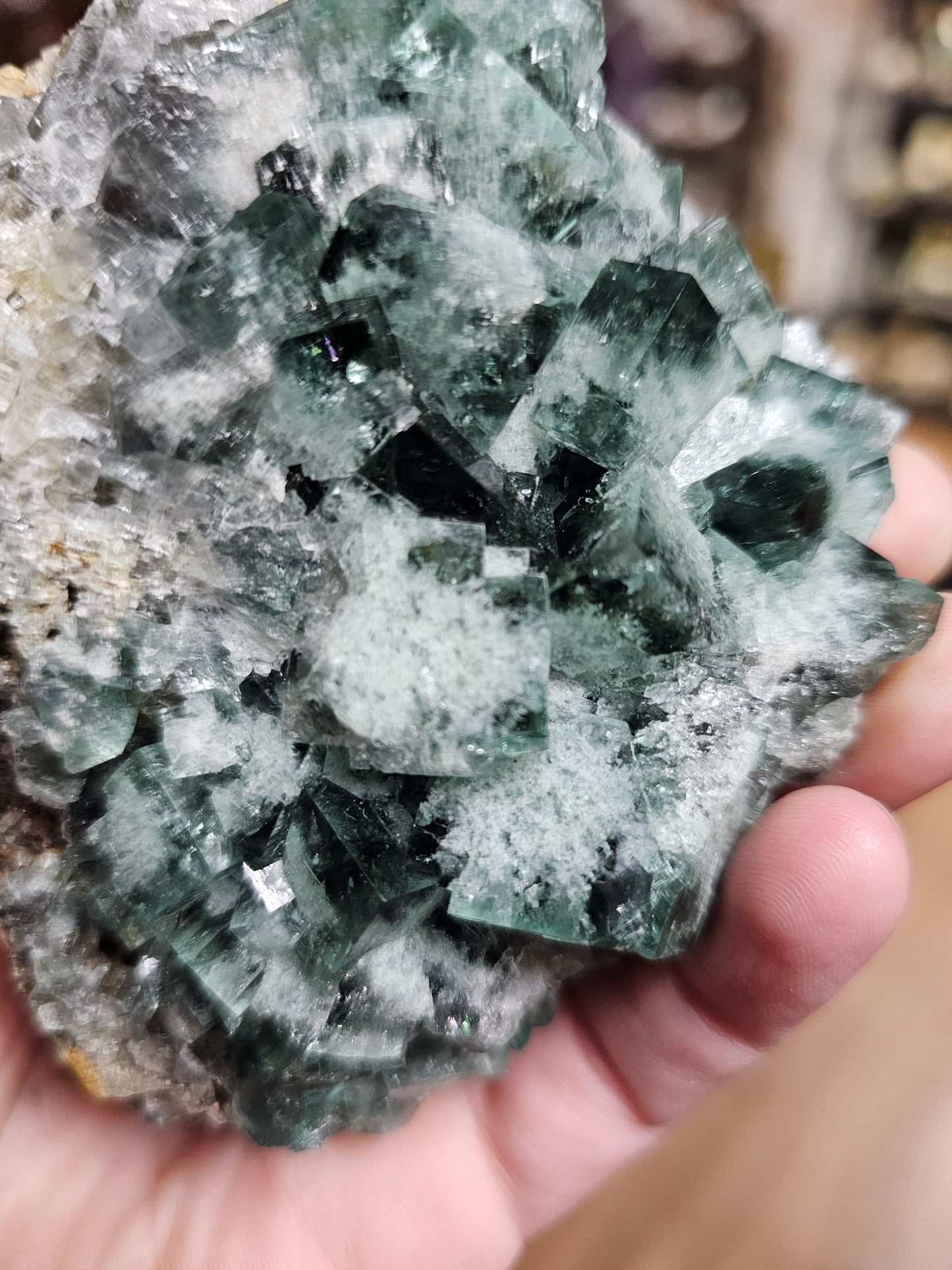 Diana Maria Fluorite