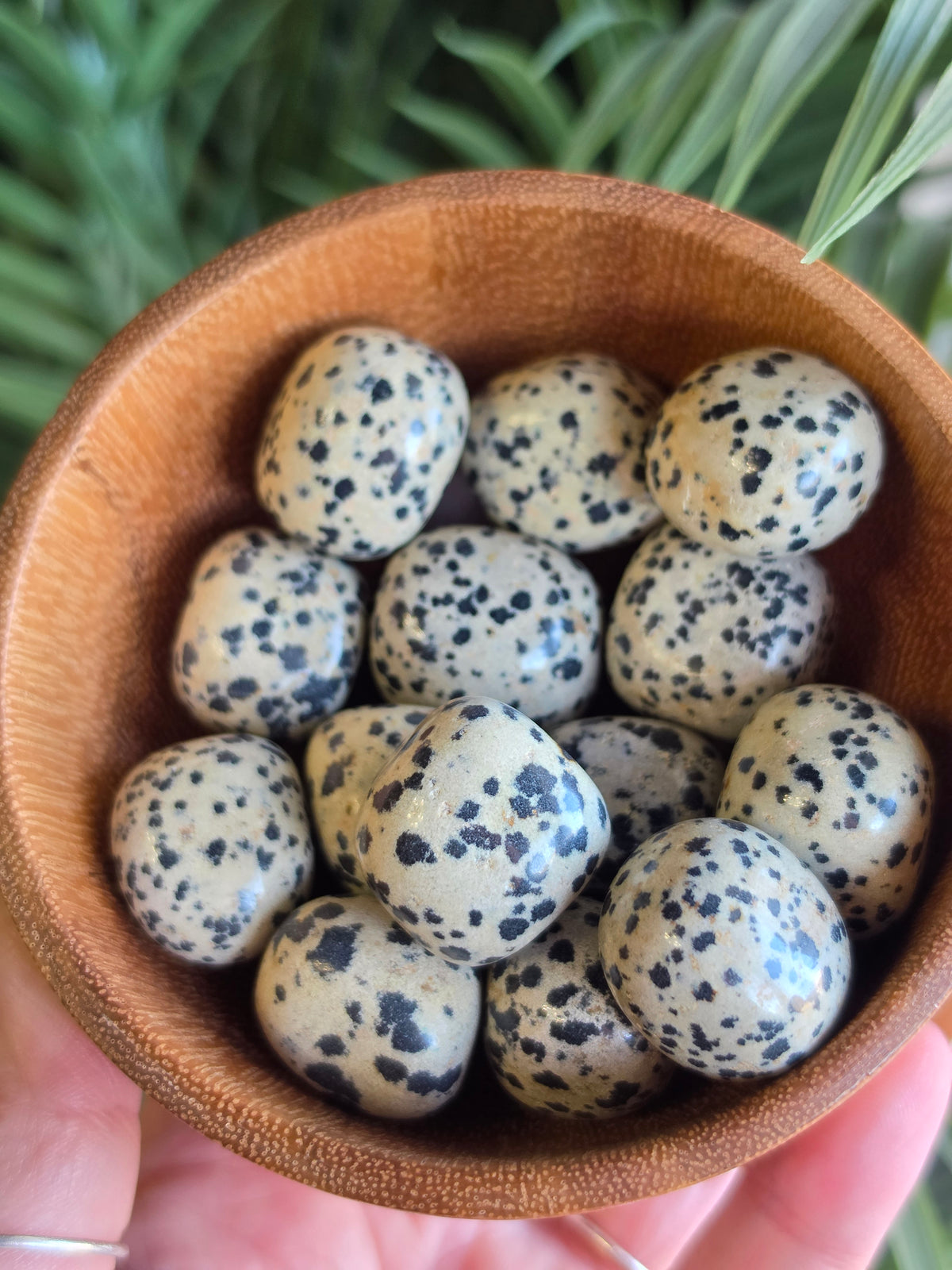 Dalmation Jasper Tumble
