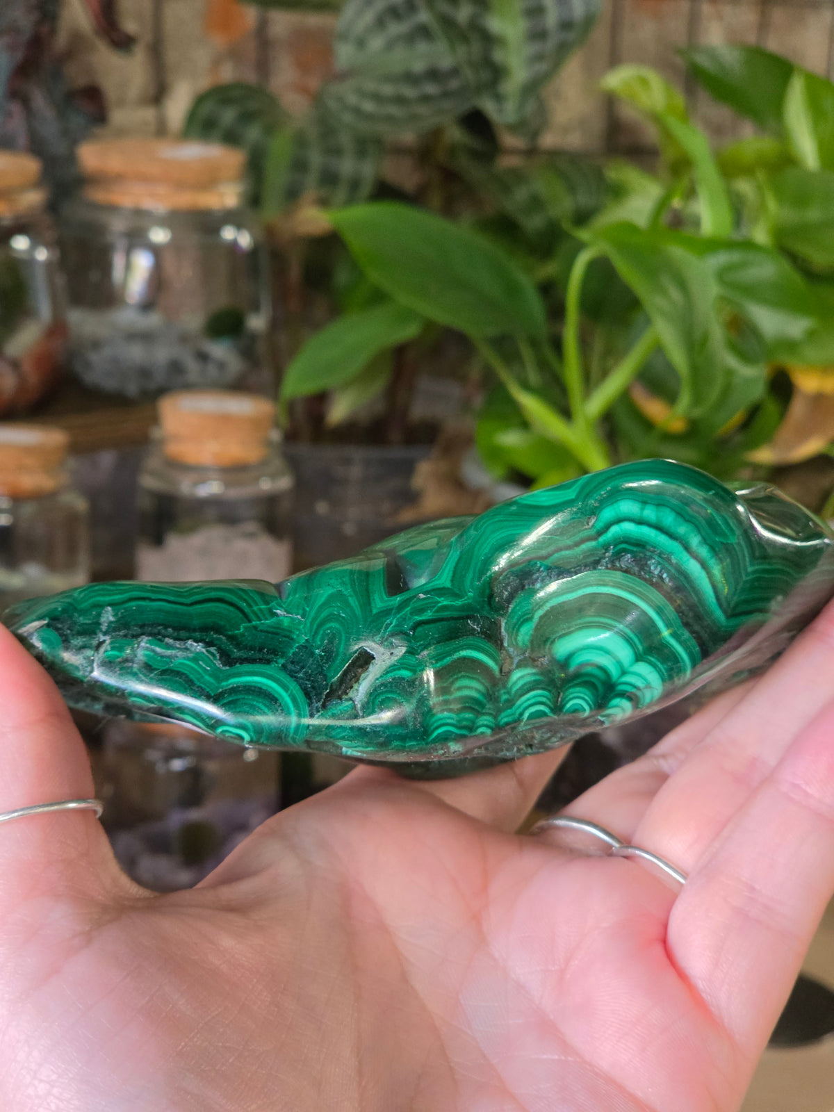 Polished Malachite Free Form