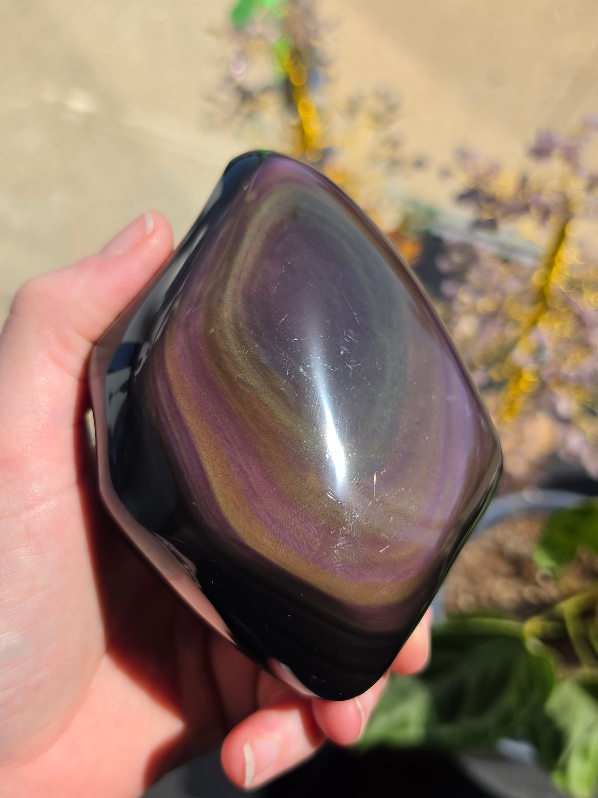 Rainbow Obsidian Freeform