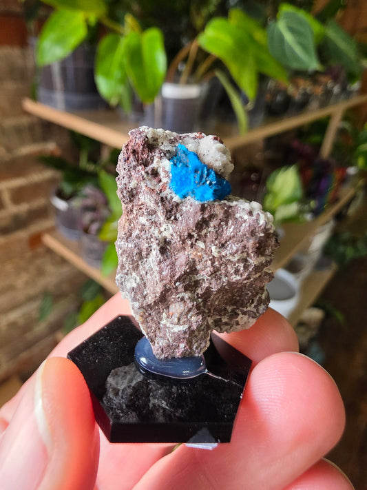 Cavansite On Matrix