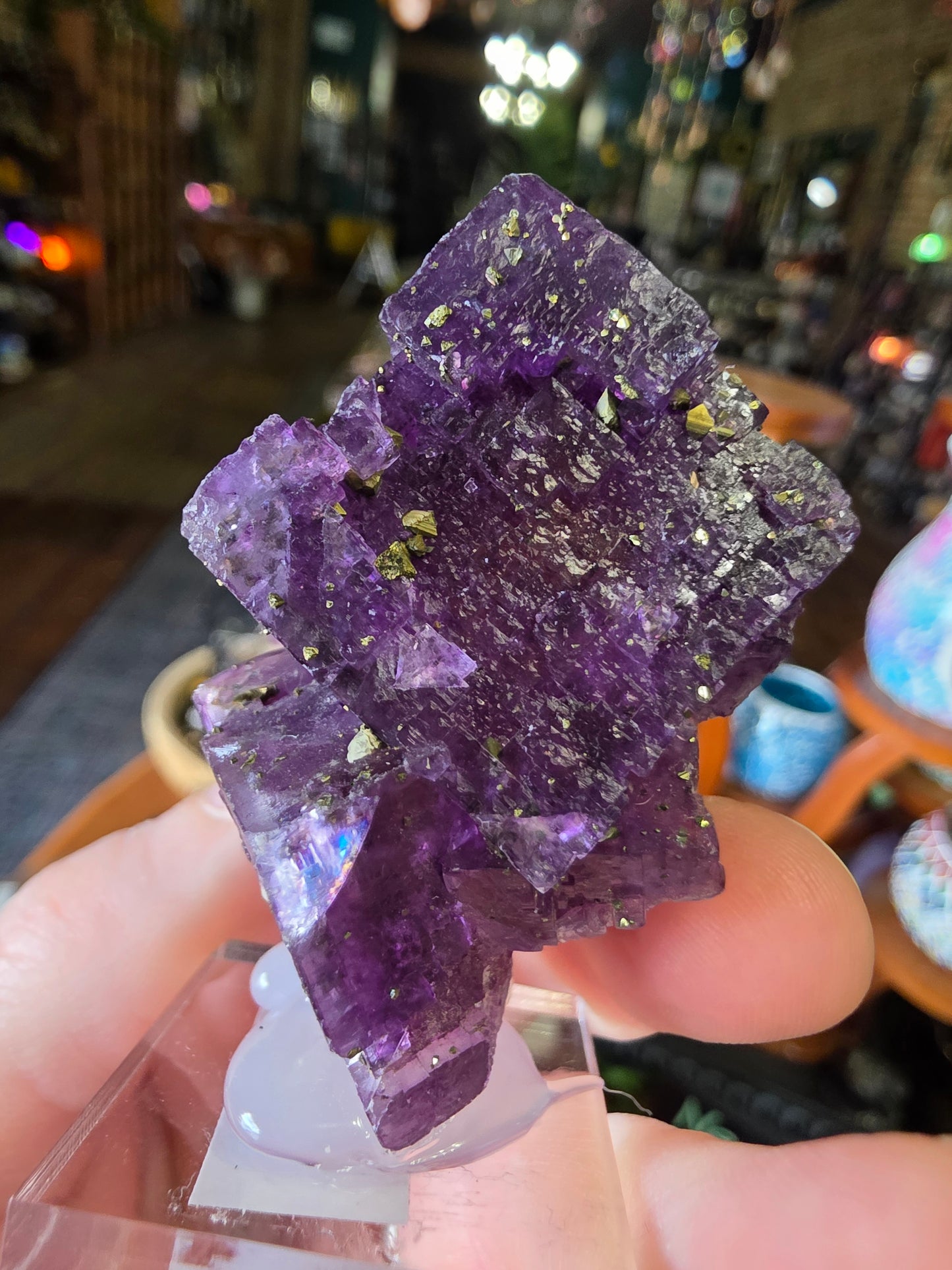 Pyrite on Fluorite