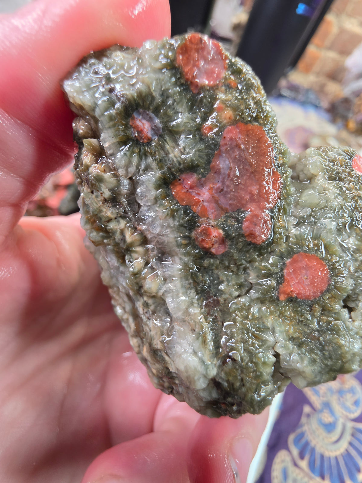 Orbicular Jasper Rough