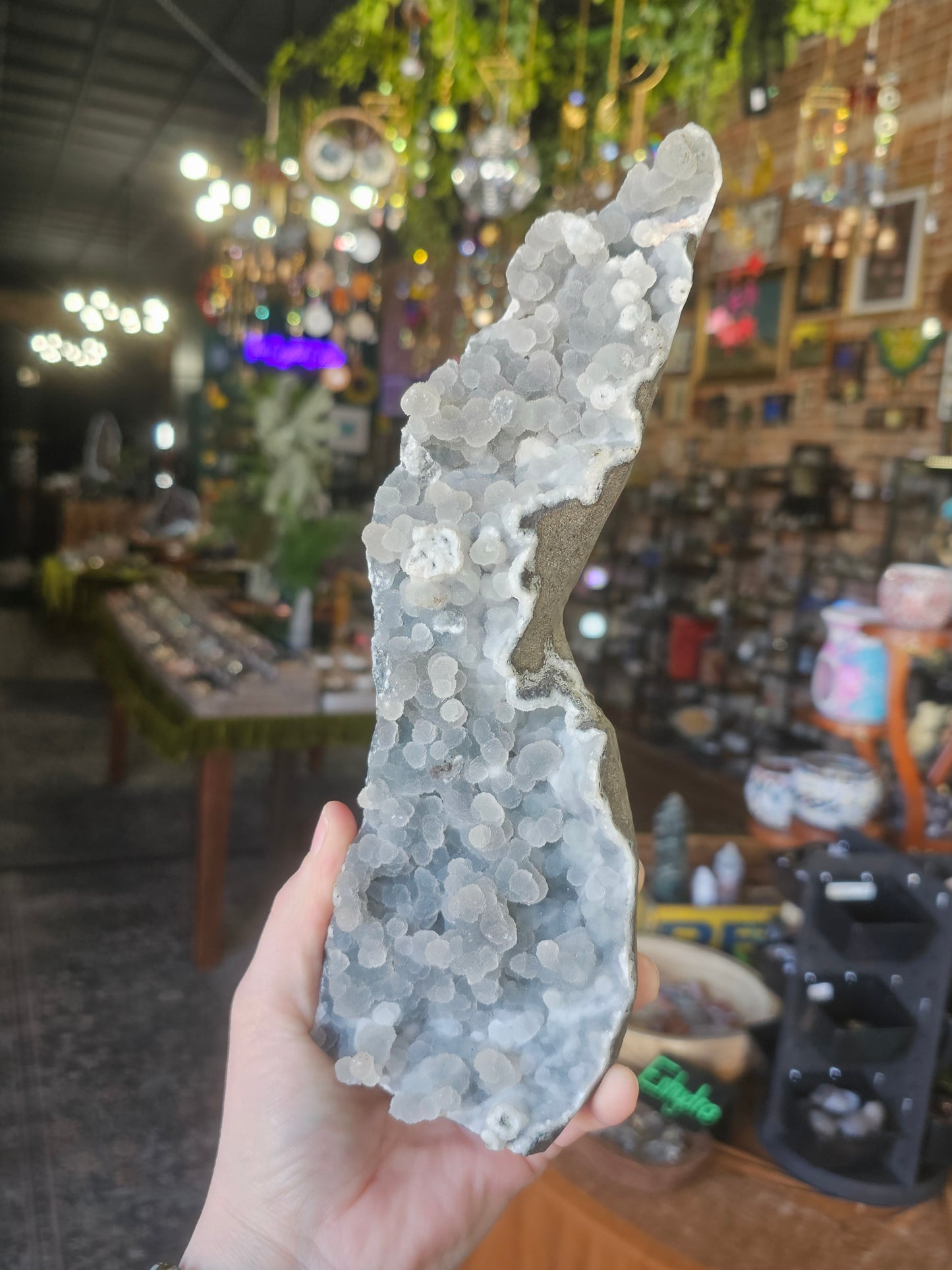 Botryoidal Chalcedony Freeform