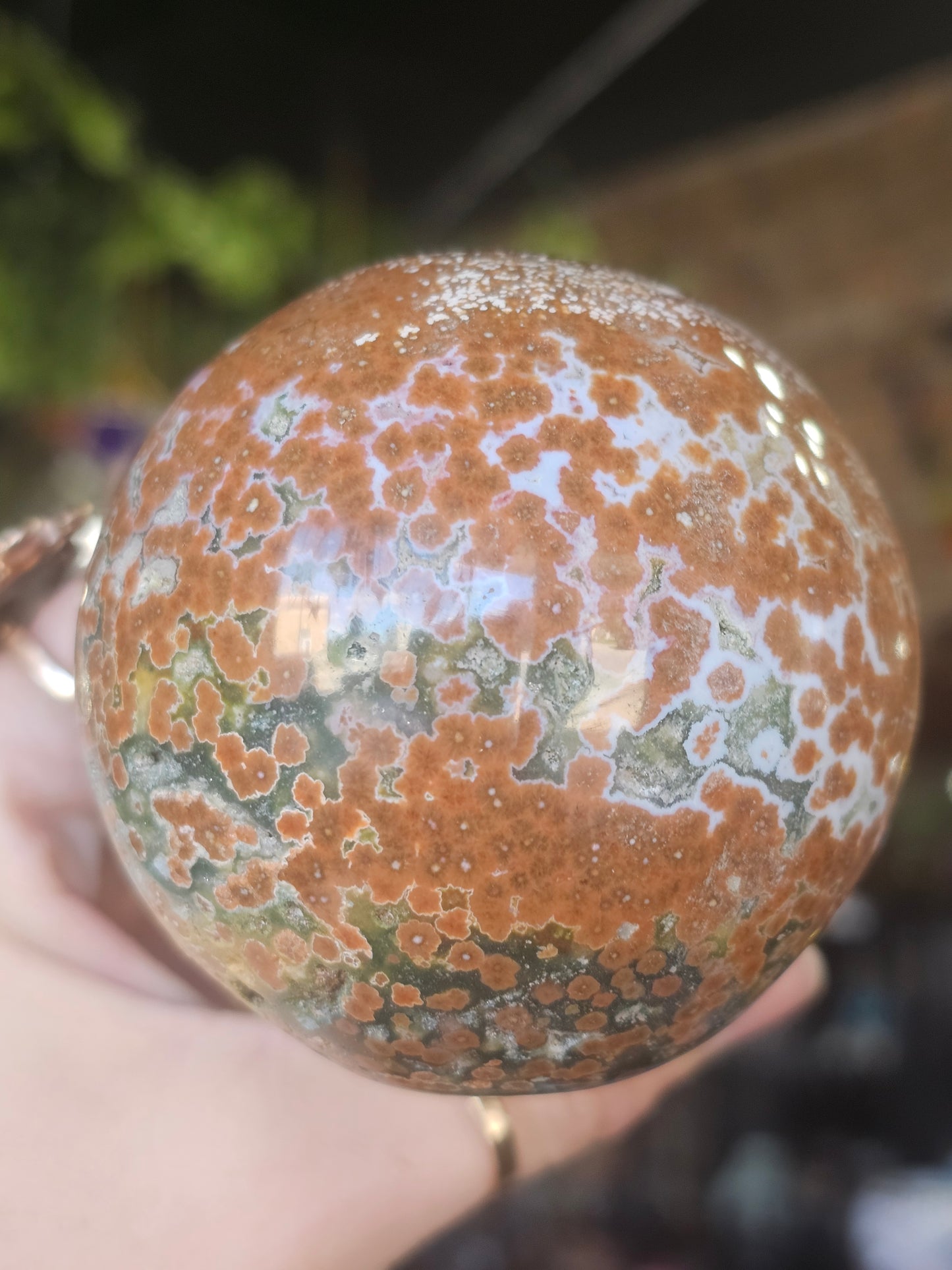 Orbicular Jasper Mushroom