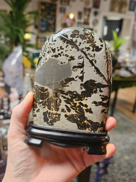 Dendritic Jasper Freeform on Wooden Base