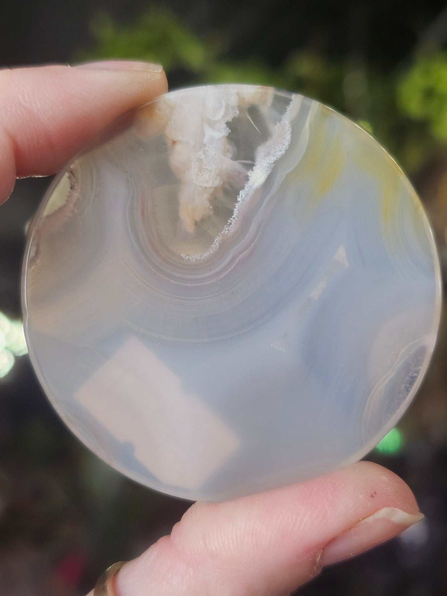 Flower Agate Disc