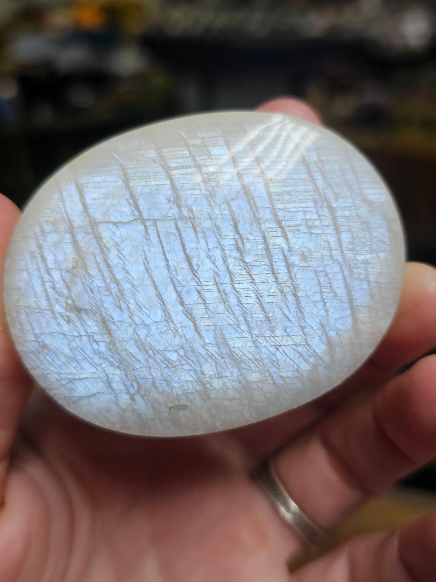 High Quality Hand Polished Moonstone Palmstone