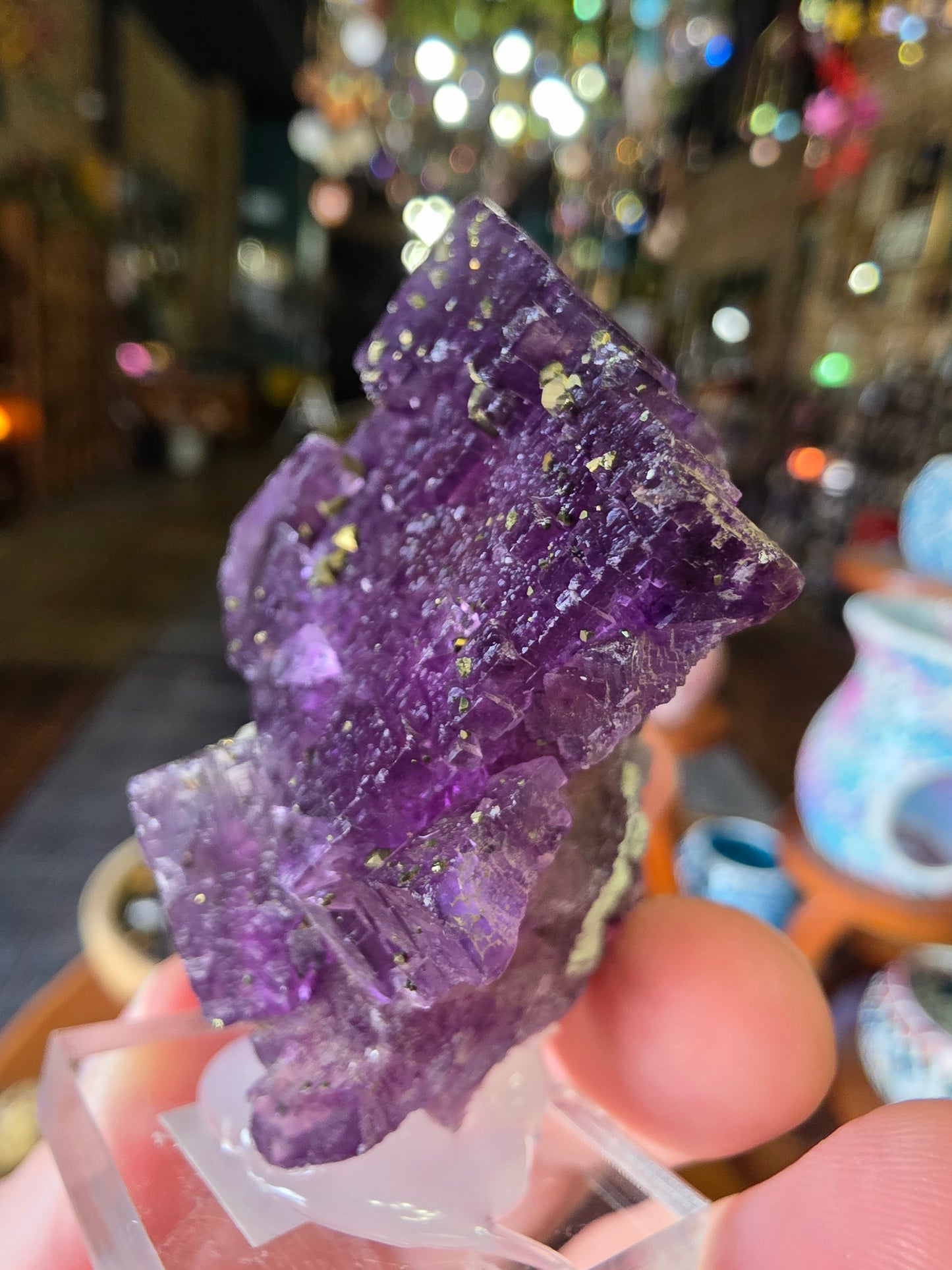 Pyrite on Fluorite
