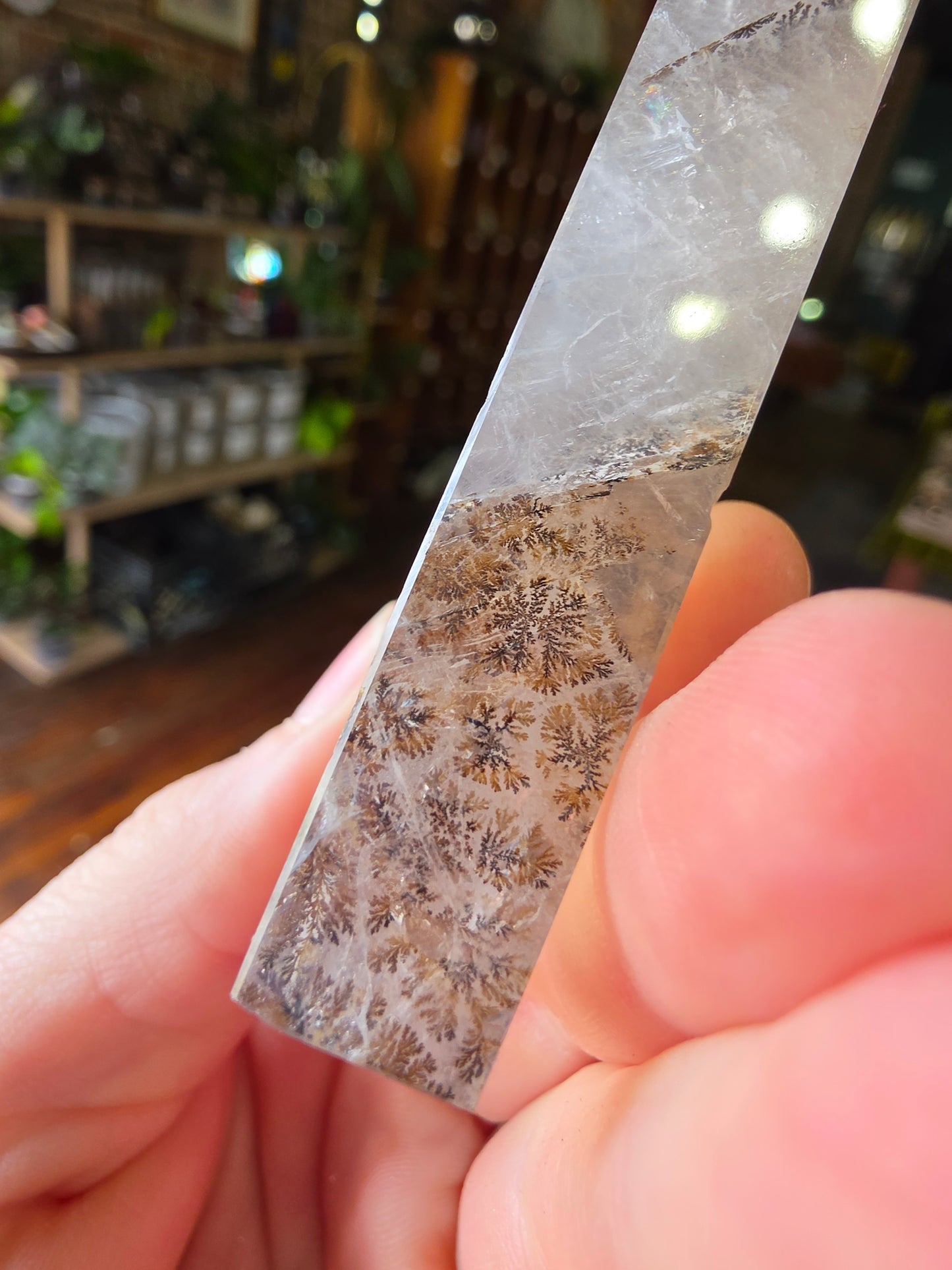 Dendritic Girasol Quartz Point