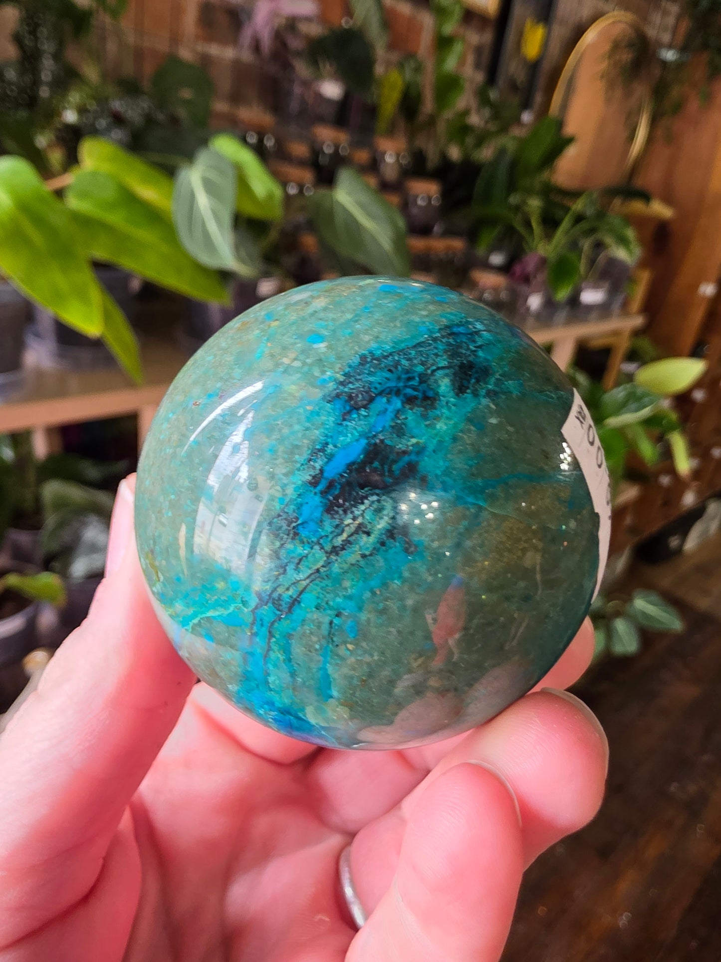 Chrysocolla and Shatuckite Sphere