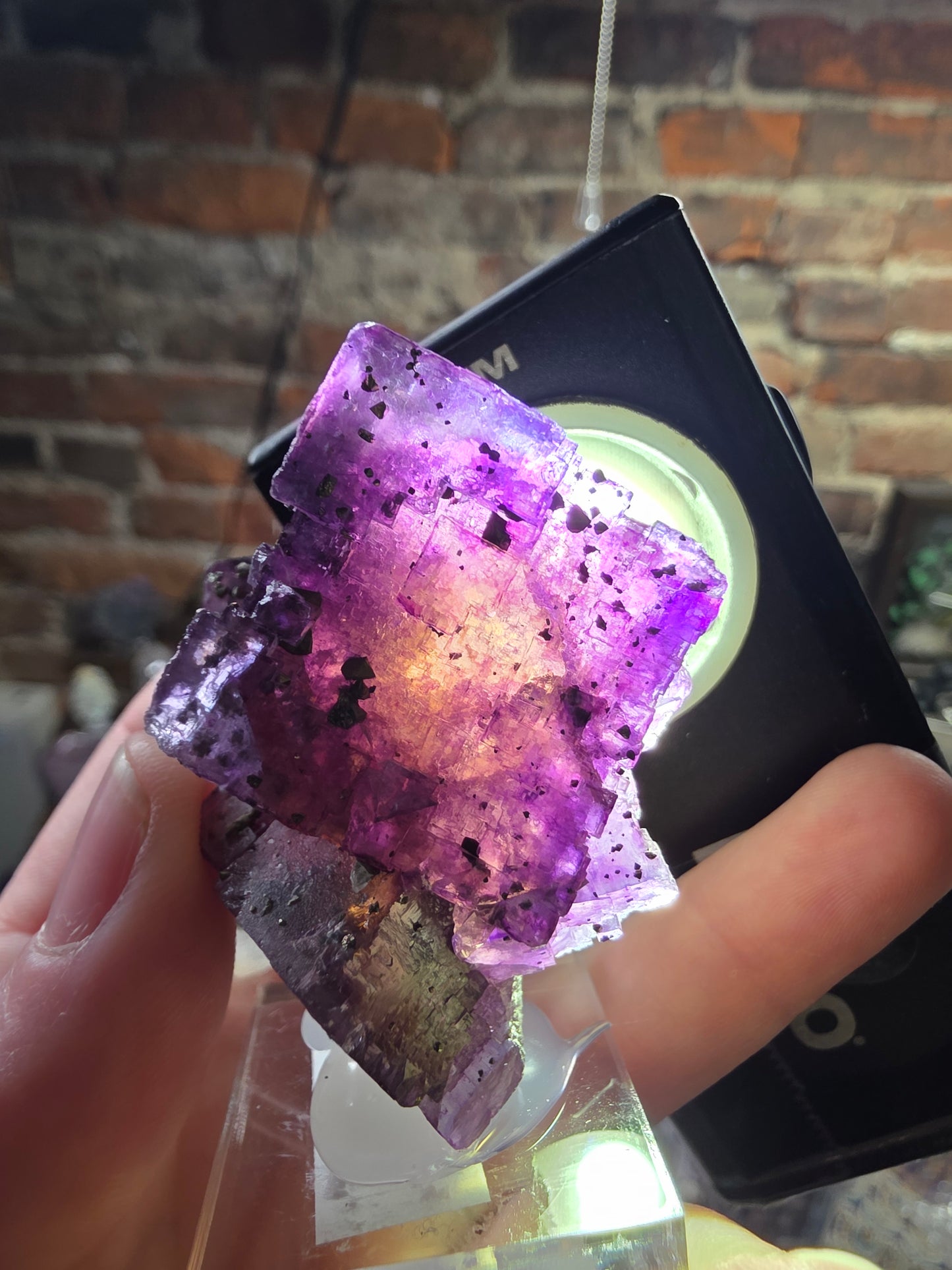 Pyrite on Fluorite