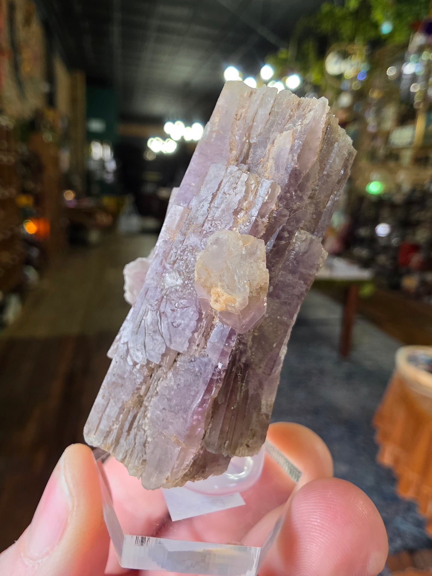 Purple Aragonite