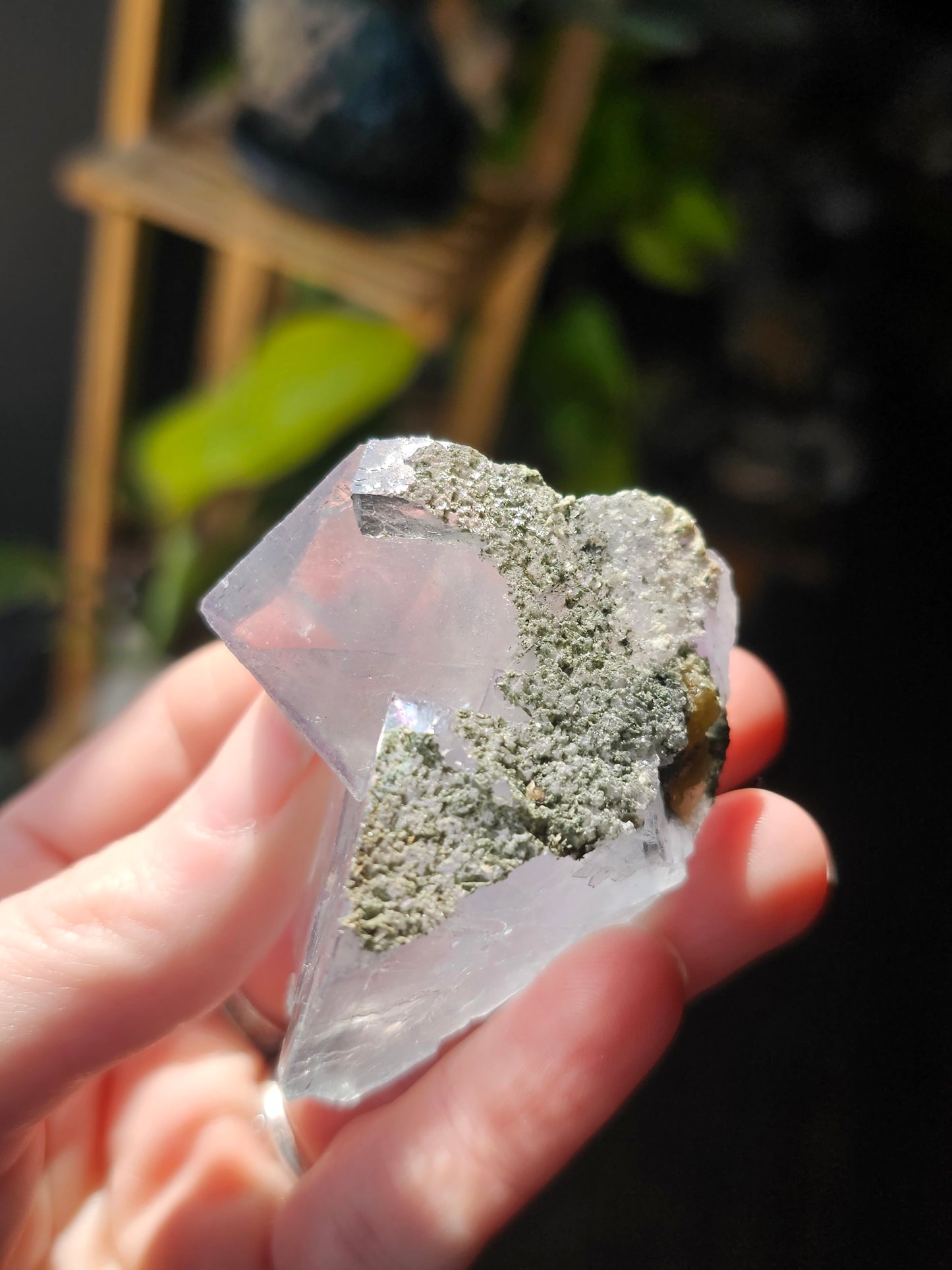 Blue Fluorite