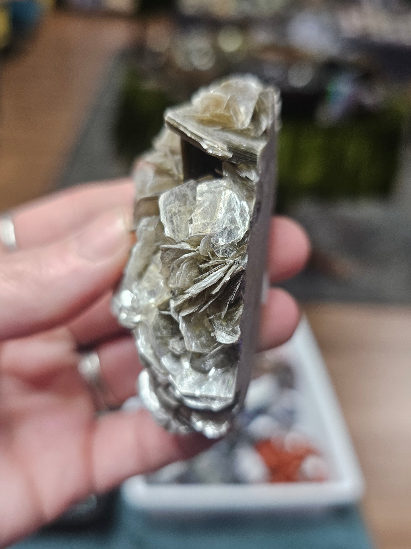 Aquamarine on Muscovite