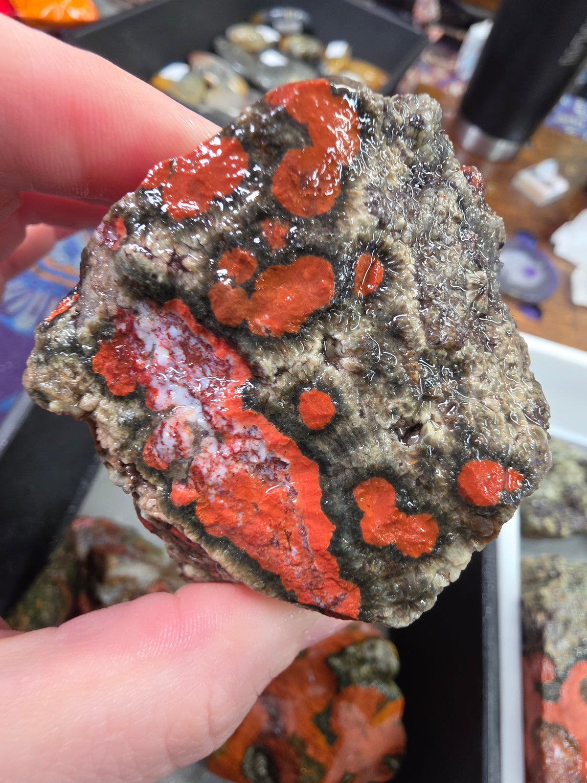 Orbicular Jasper Rough