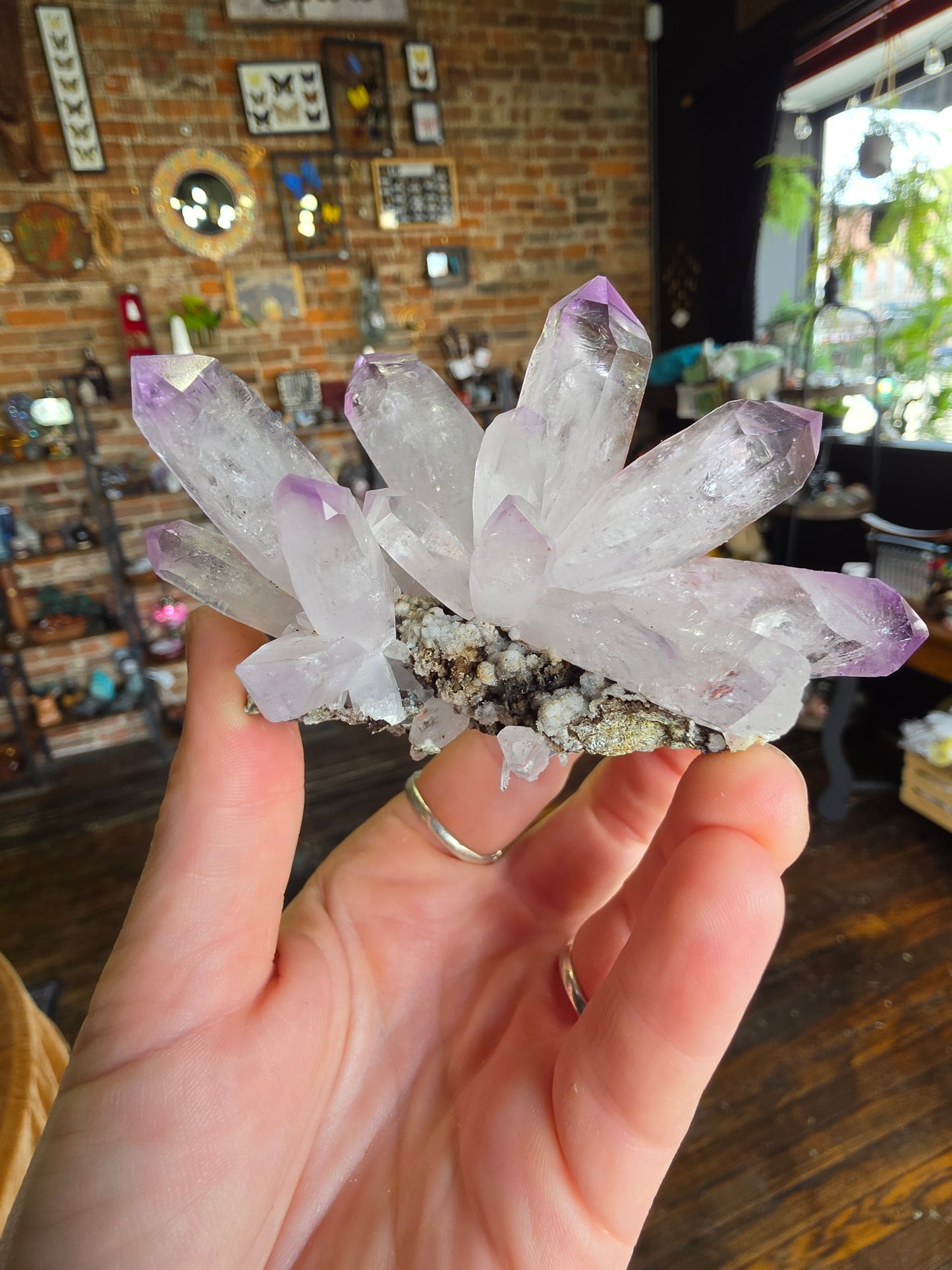 Vera Cruz Amethyst