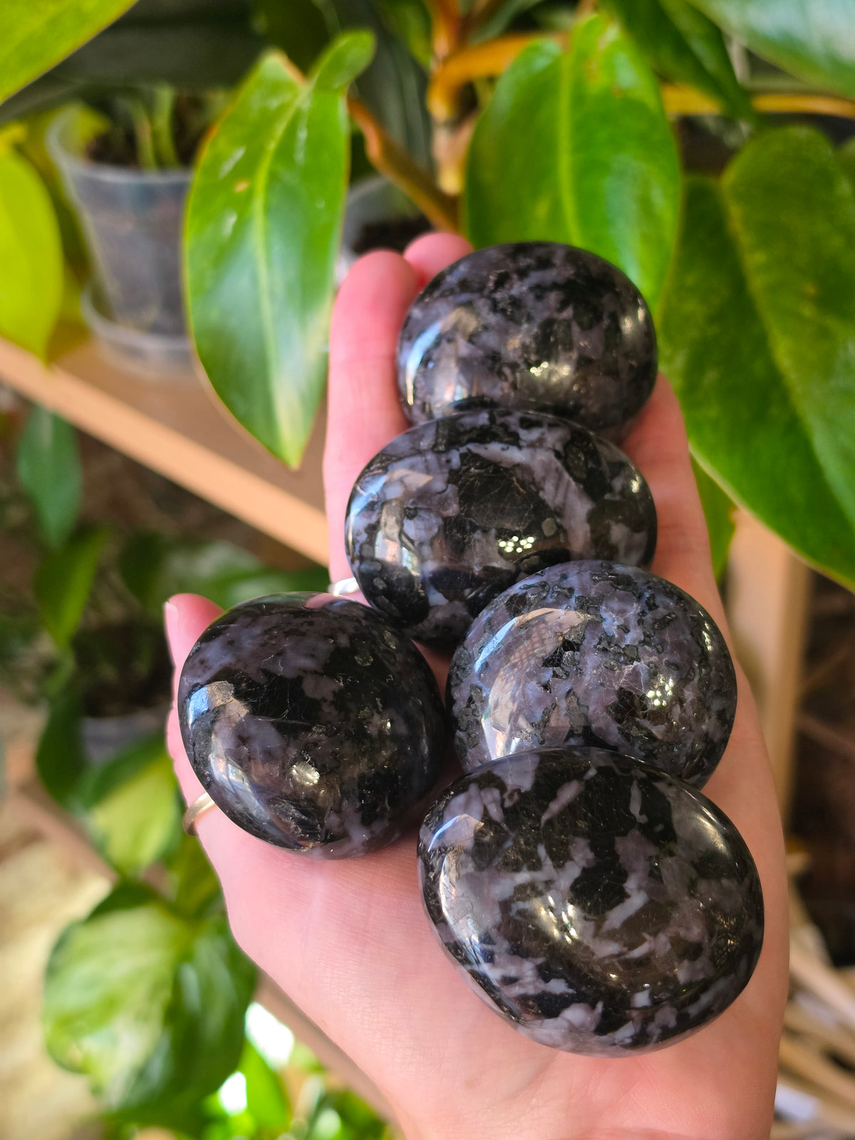 Indigo Gabro Palmstone