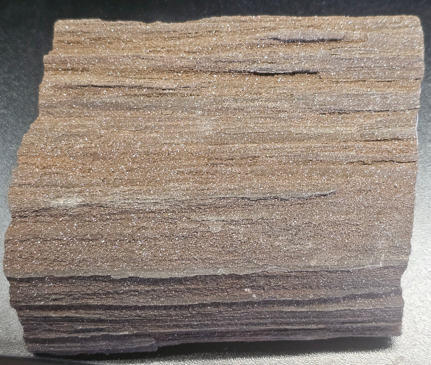 Permineralized Wood