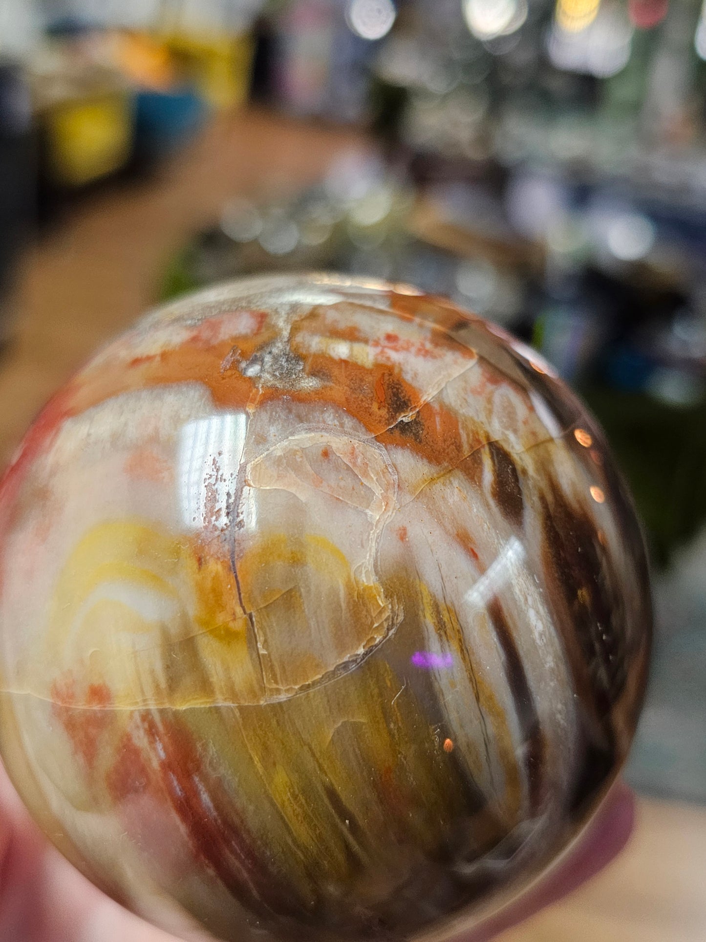Petrified Wood Sphere