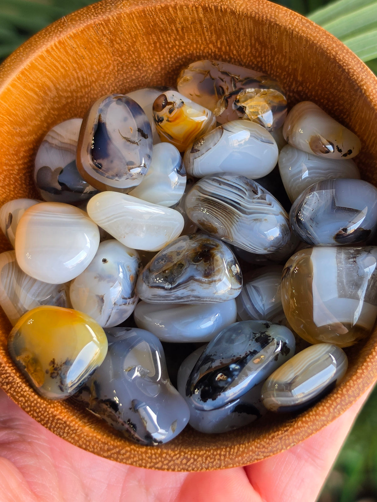 Dendritic Agate Tumble