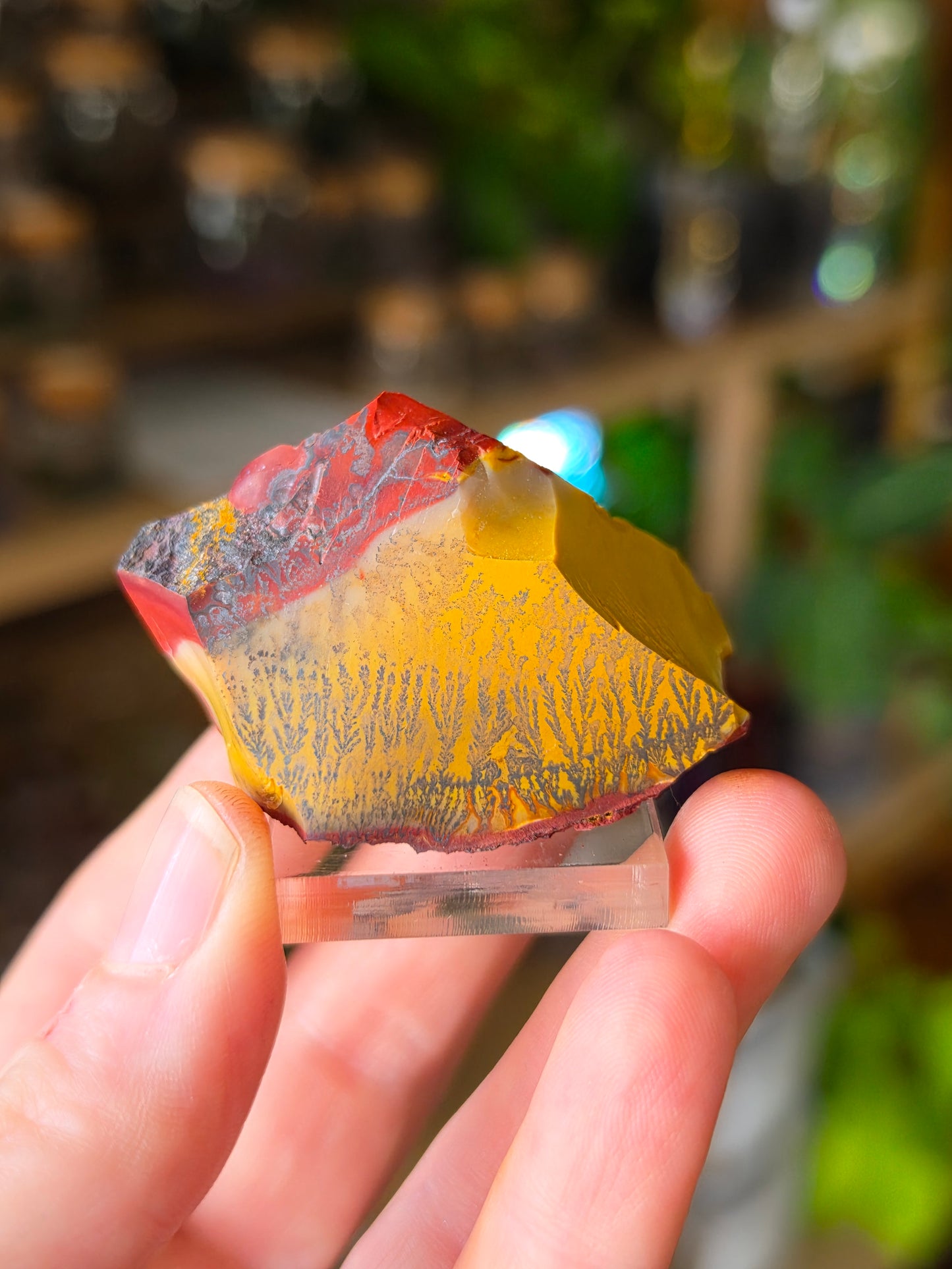 Mookaite with Dentrites