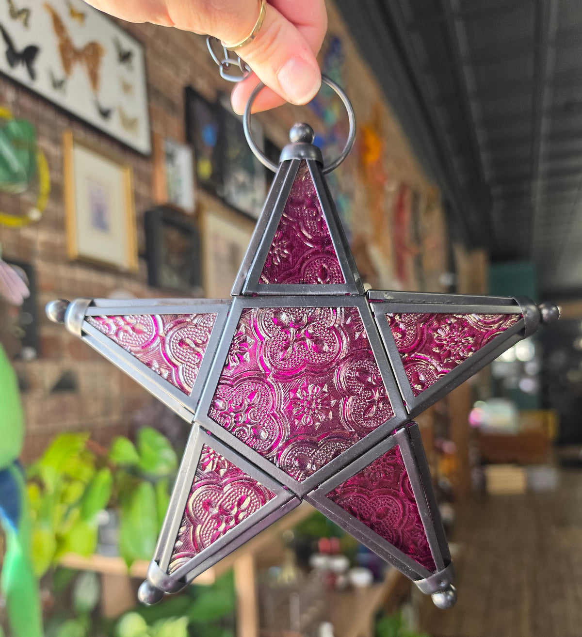 Pink Star Lantern