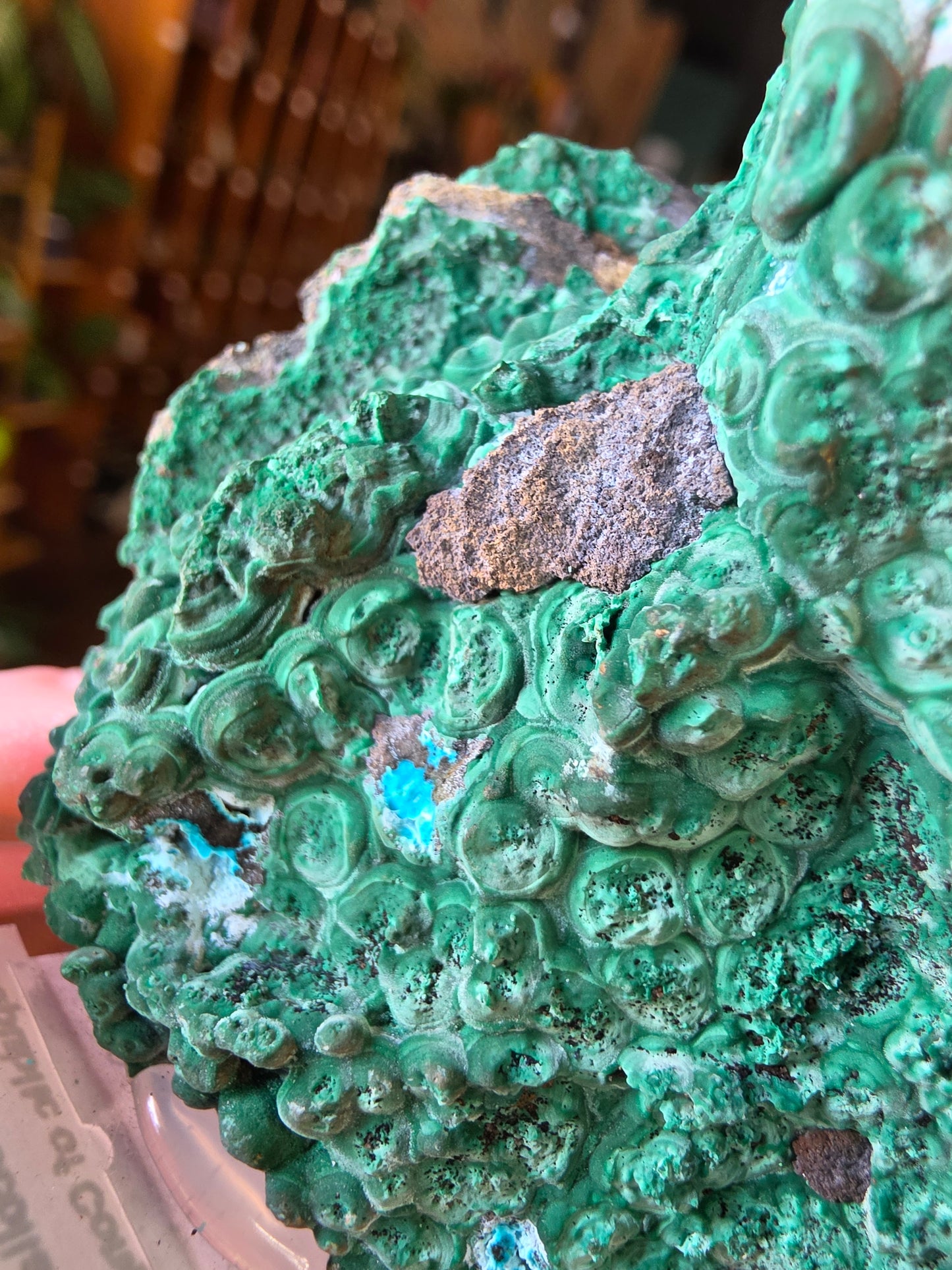 Chrysocolla and Malachite
