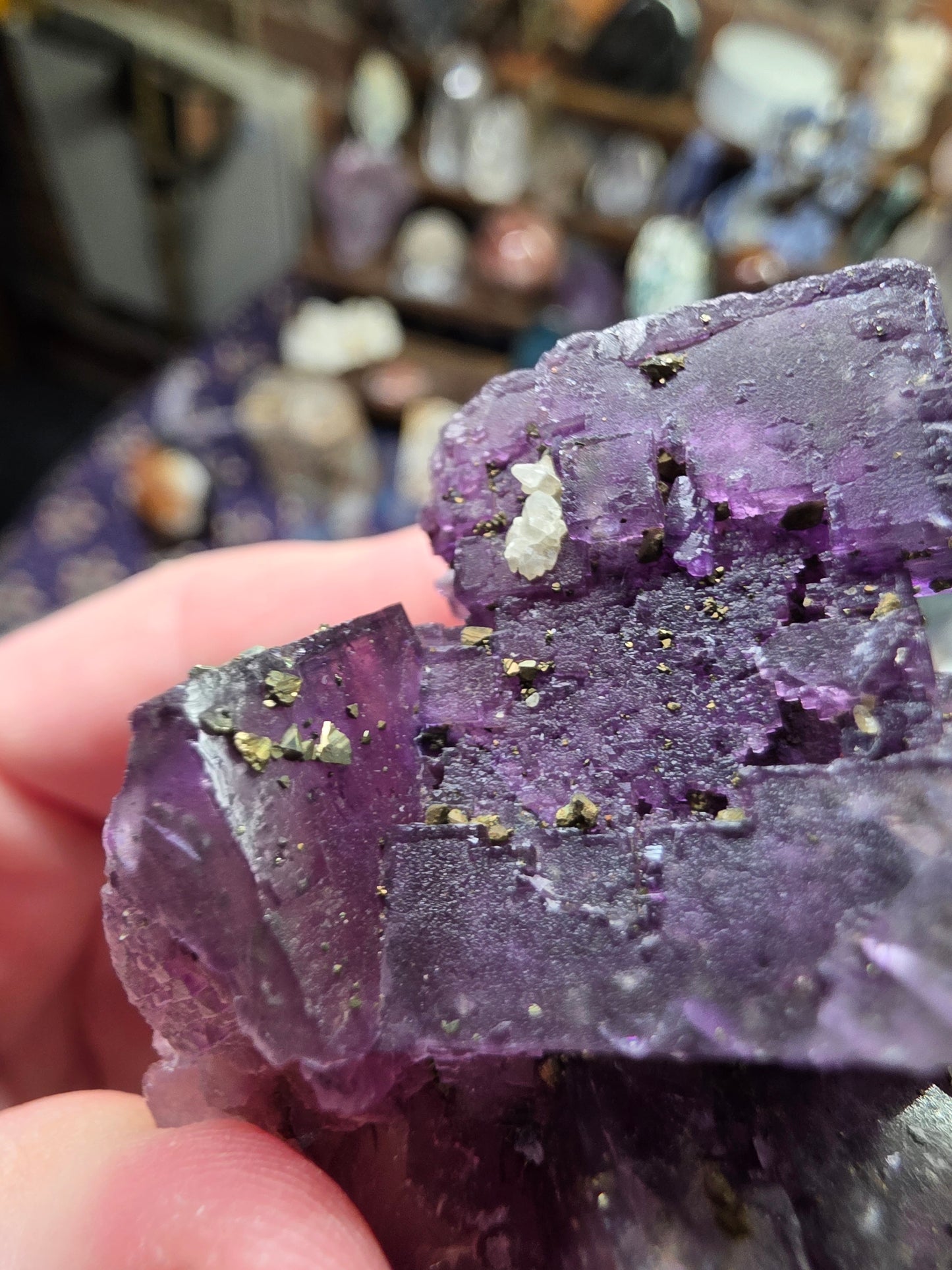 Pyrite on Fluorite
