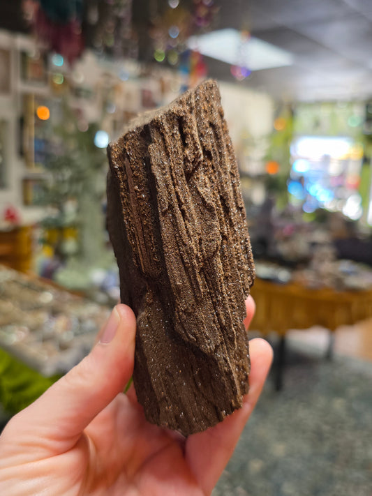 Permineralized Wood