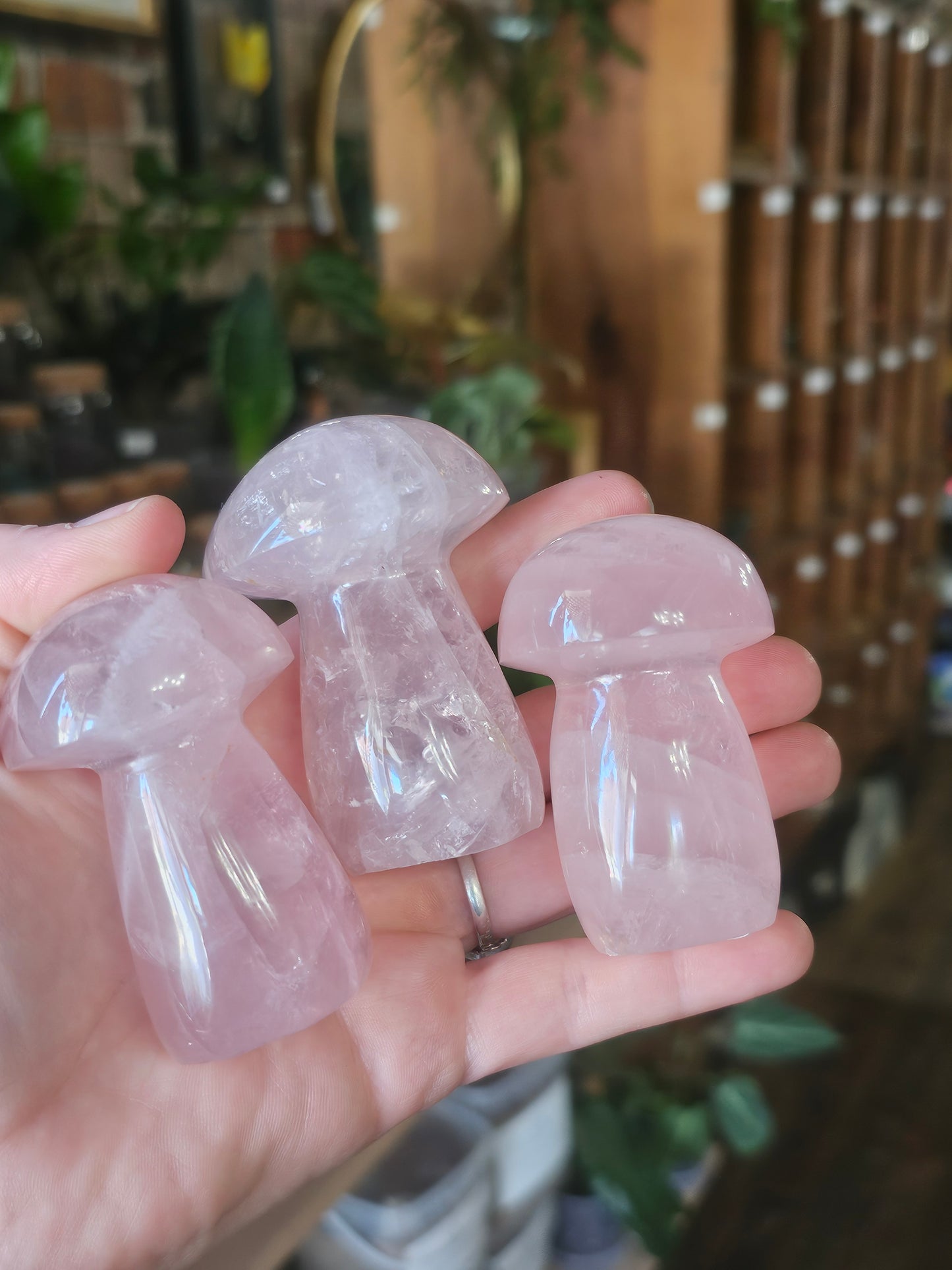 Star Rose Quartz Mushrooms
