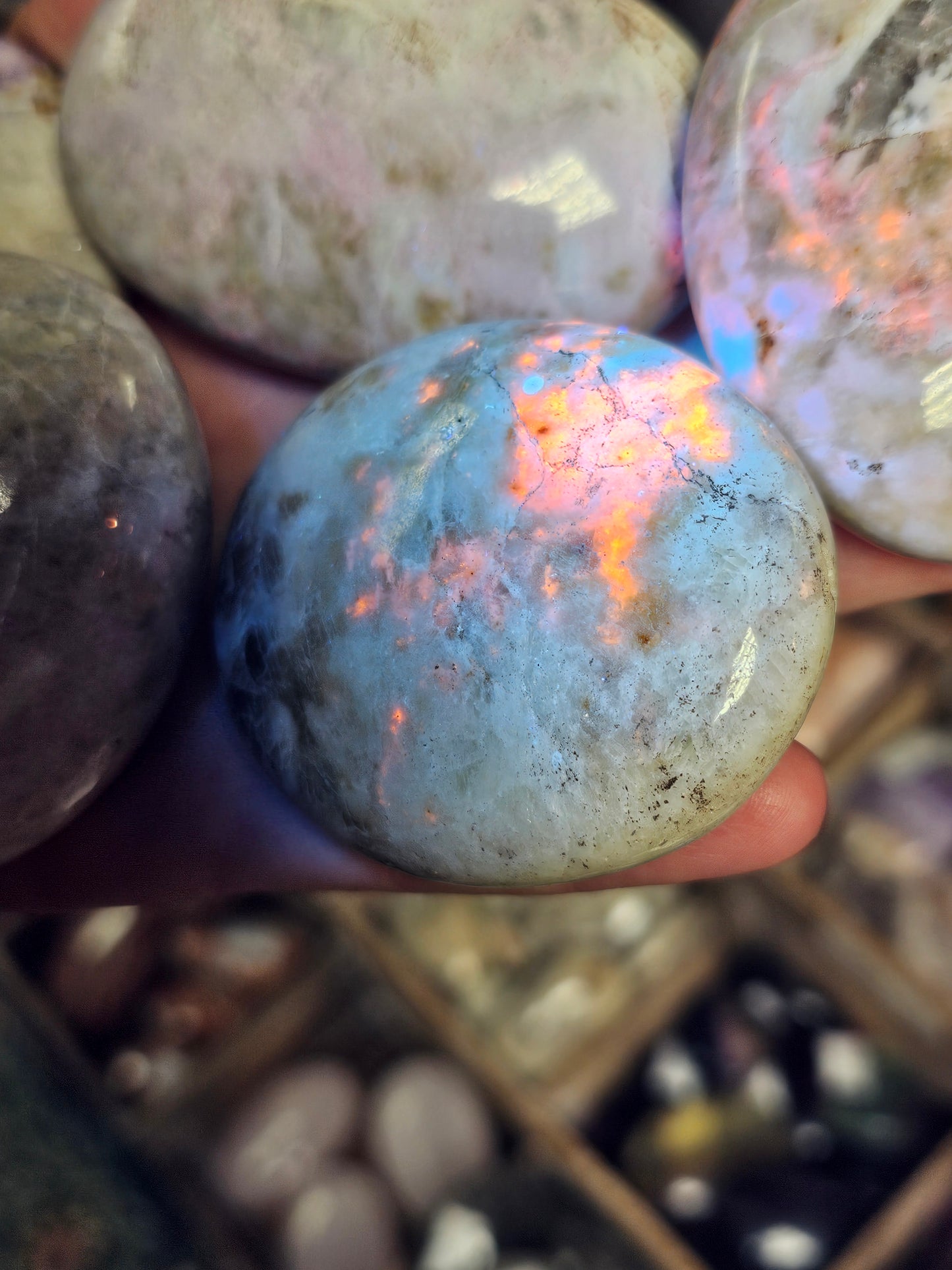 Hackmanite Palmstone (Fluorescent & Tenebrescent)