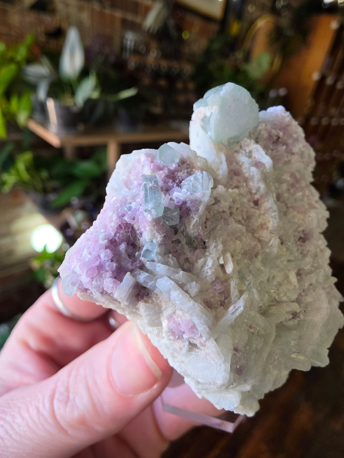 Blue Tourmaline and Lepidolite on Cleavlandite